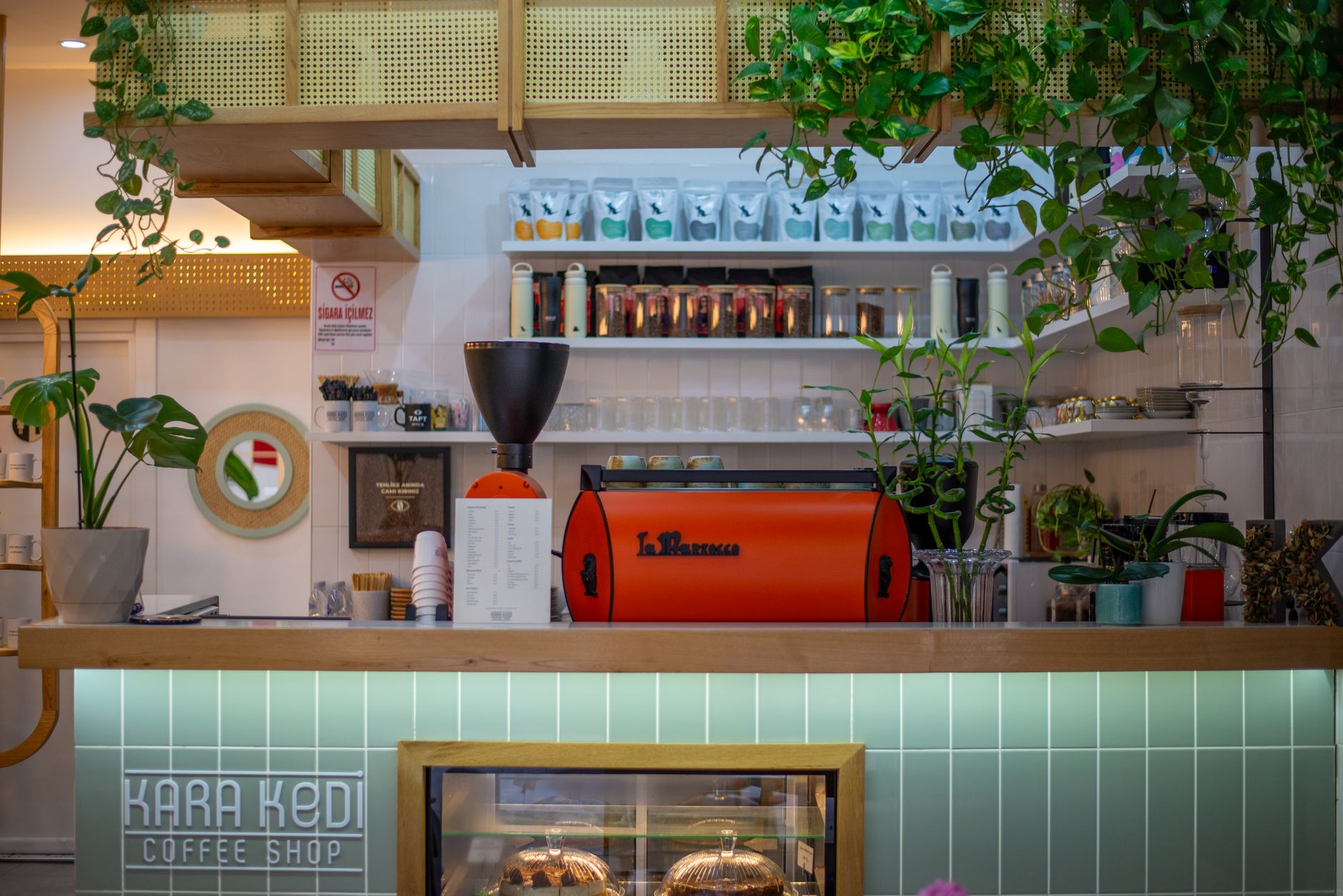 Cozy café interior featuring modern design, coffee machine, and abundant greenery.