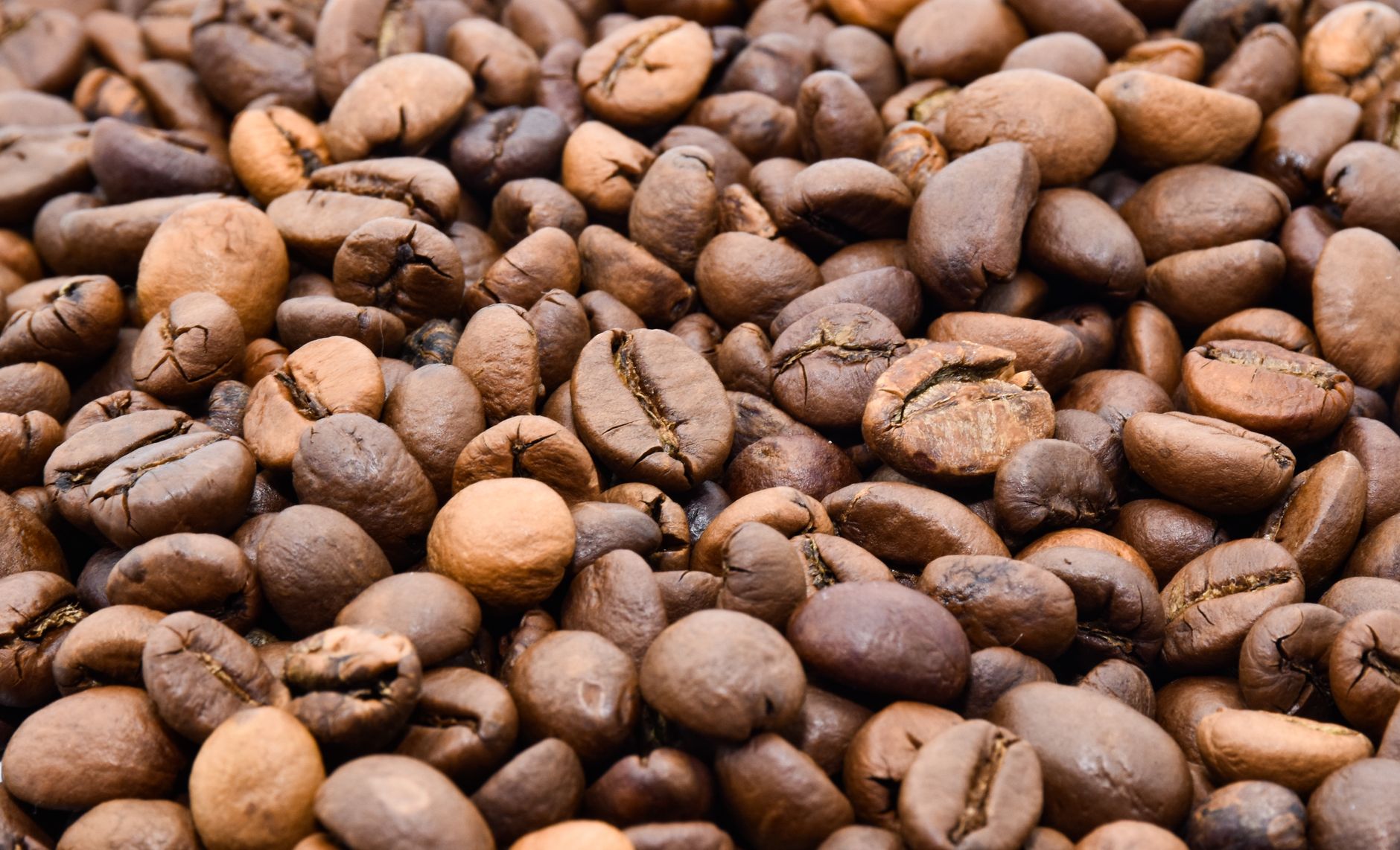 Detailed close-up of roasted coffee beans showcasing texture and color variations.