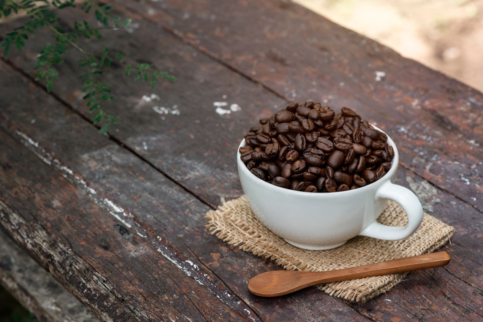 A white mug filled with roasted coffee beans on a rustic wooden table outdoors.