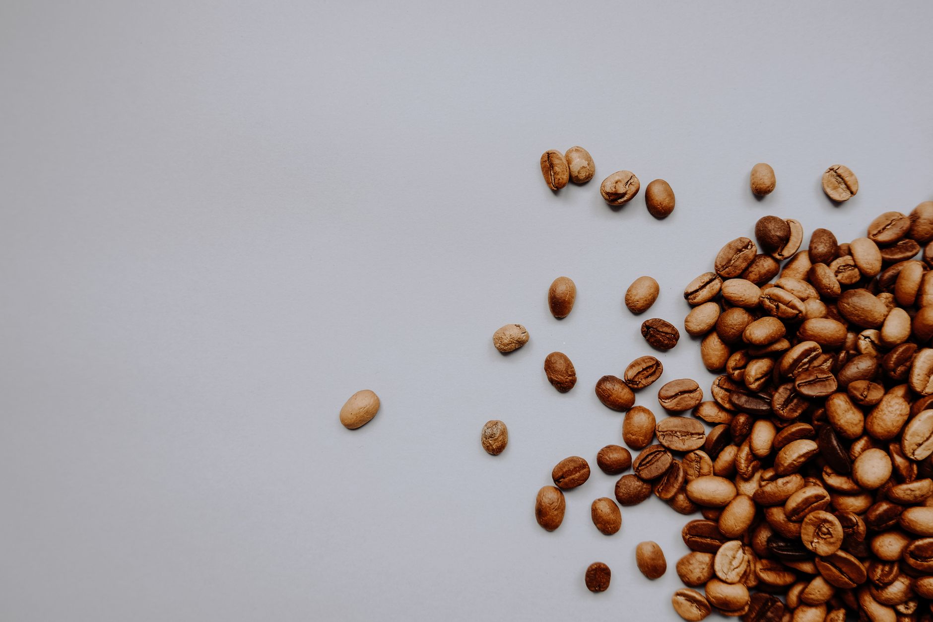 Aesthetic top-down shot of scattered roasted coffee beans on a smooth gray backdrop.