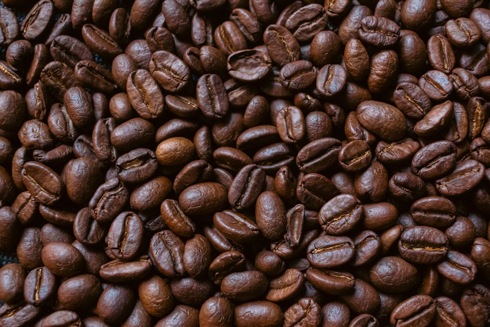 Rich detailed image of freshly roasted coffee beans perfect for any beverage-related theme.