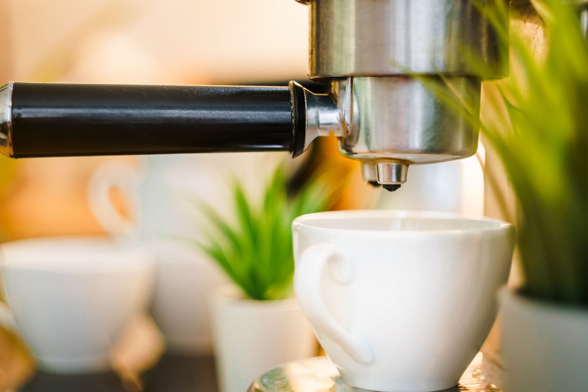 Detailed view of an espresso machine brewing coffee into a white cup surrounded by plants.