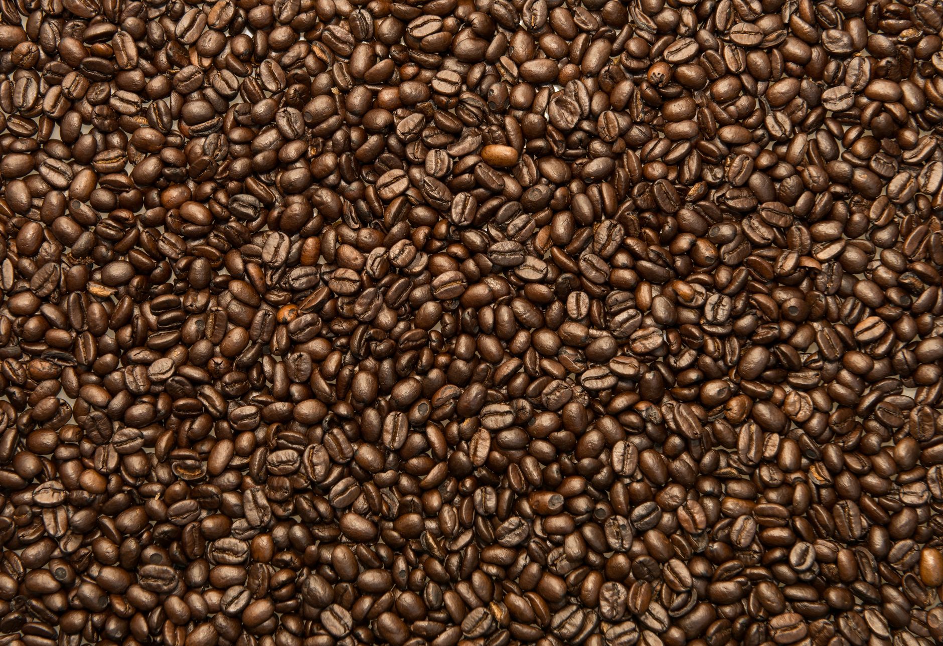 A detailed close-up shot of premium roasted coffee beans.