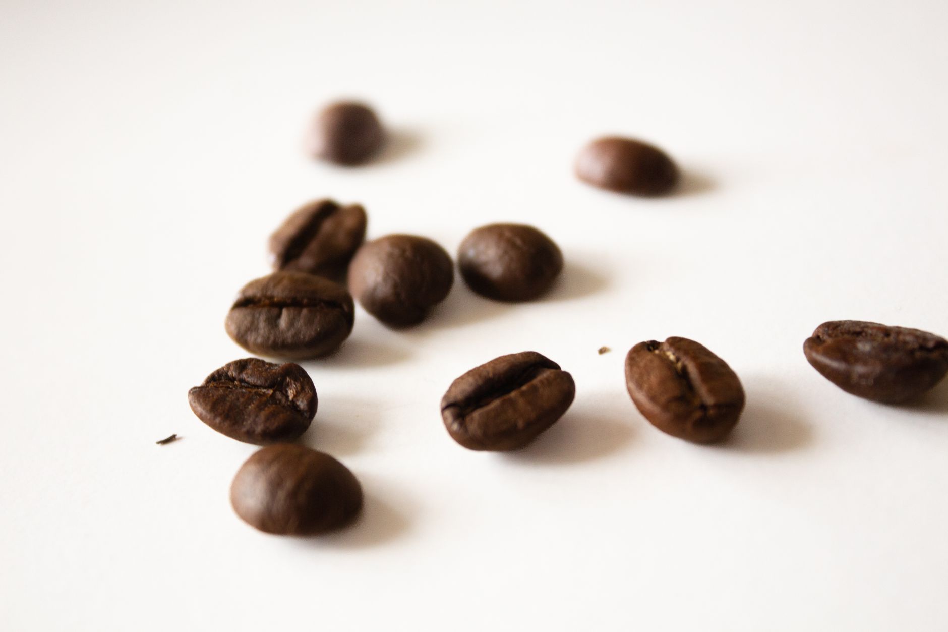 Scattered coffee beans on a white background offering a minimalist composition ideal for food and beverage content.
