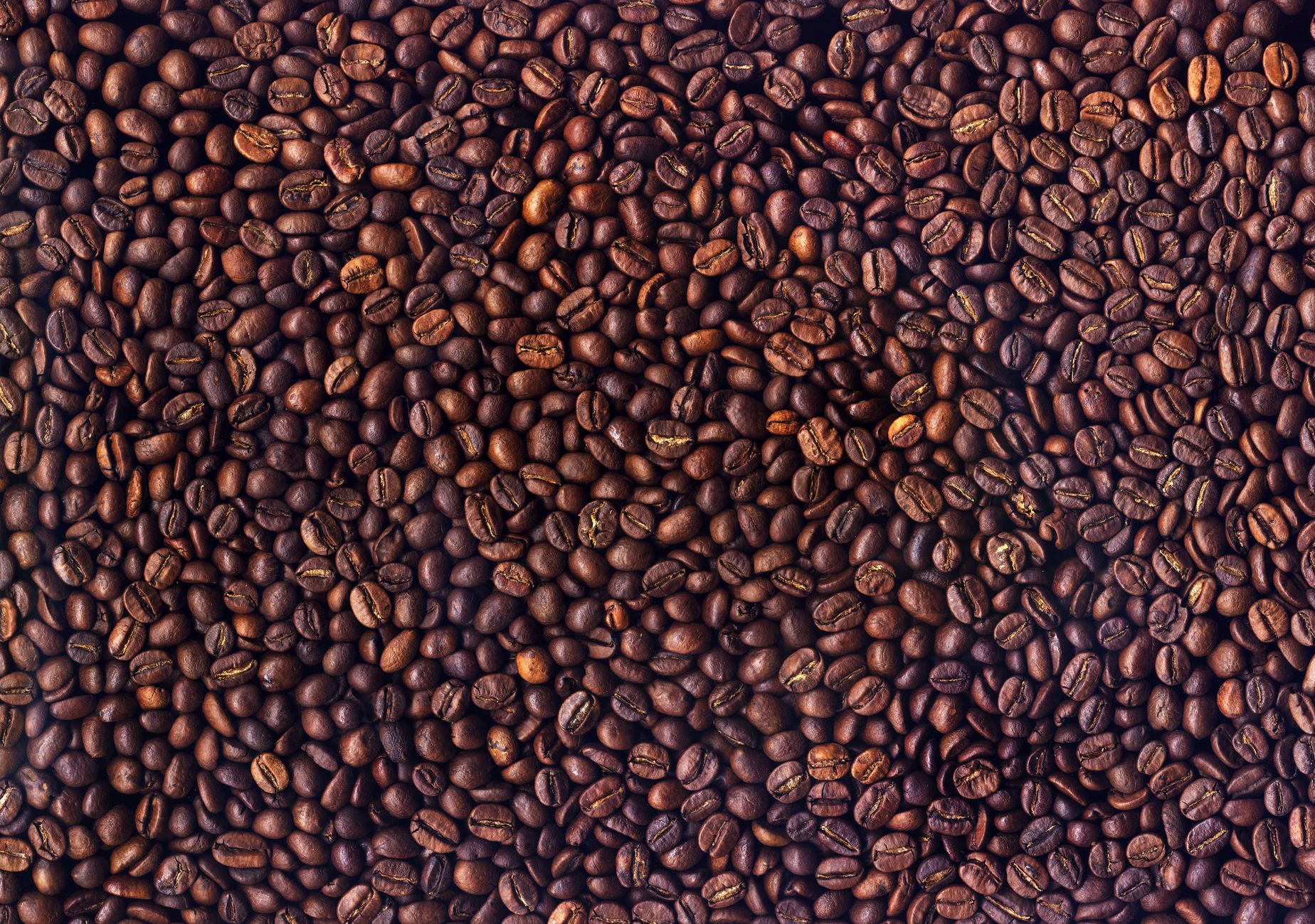 Close-up of roasted coffee beans in even spread, rich brown texture.