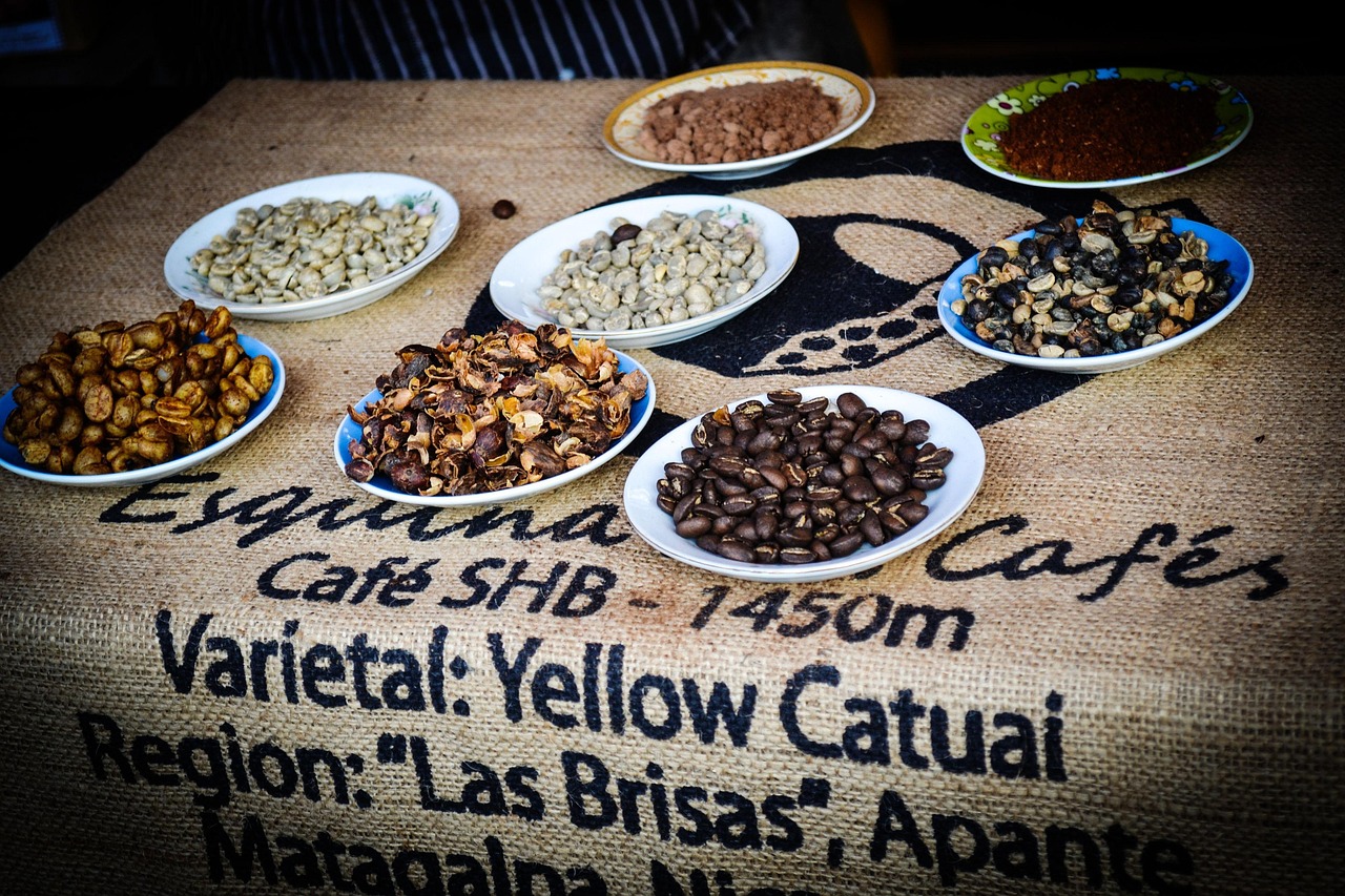 coffee beans, coffee fair, culture, nicaragua, mimatagalpa, org, nicaragua, nicaragua, nicaragua, nicaragua, nicaragua