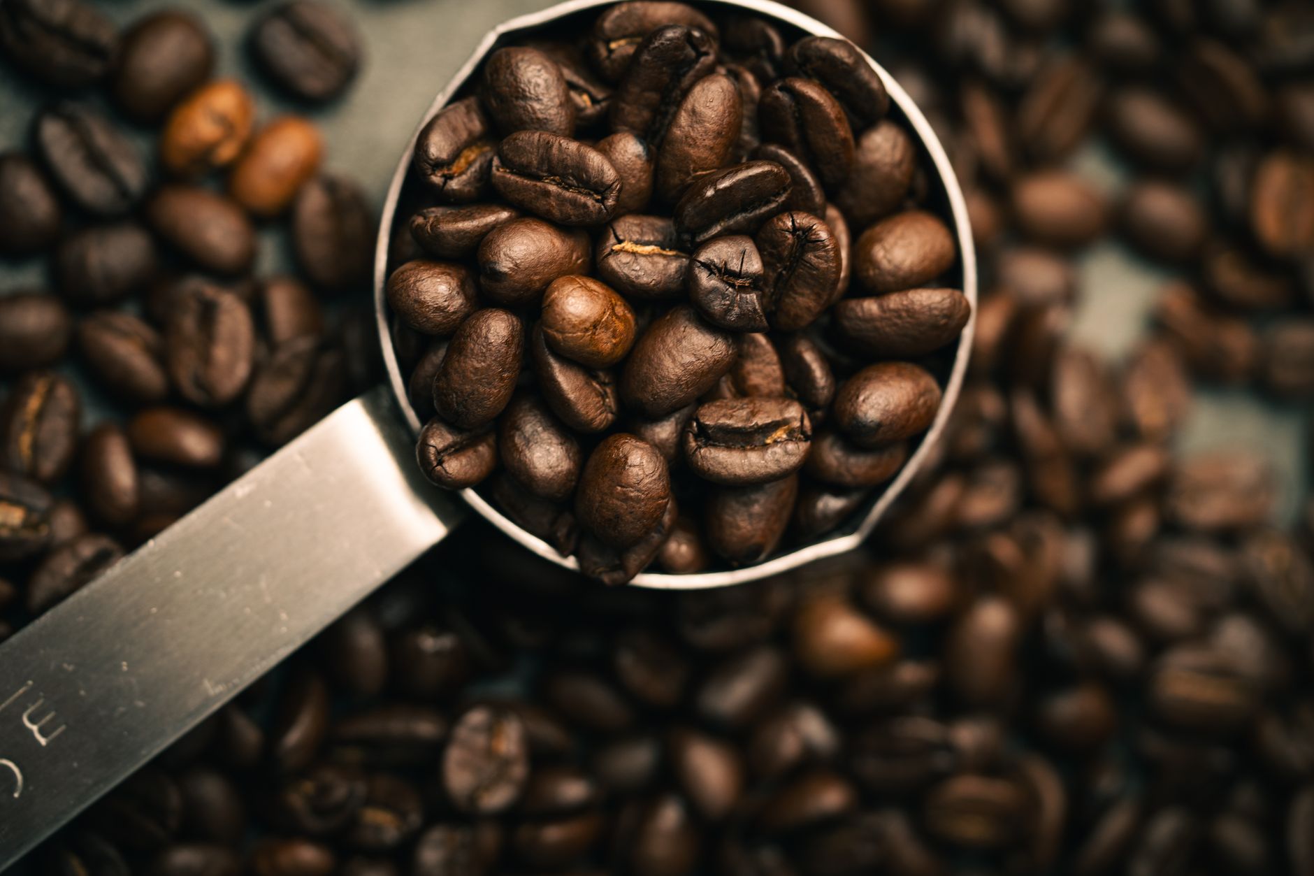 Detailed close-up of coffee beans filling a metal measuring scoop, with scattered beans in the background.