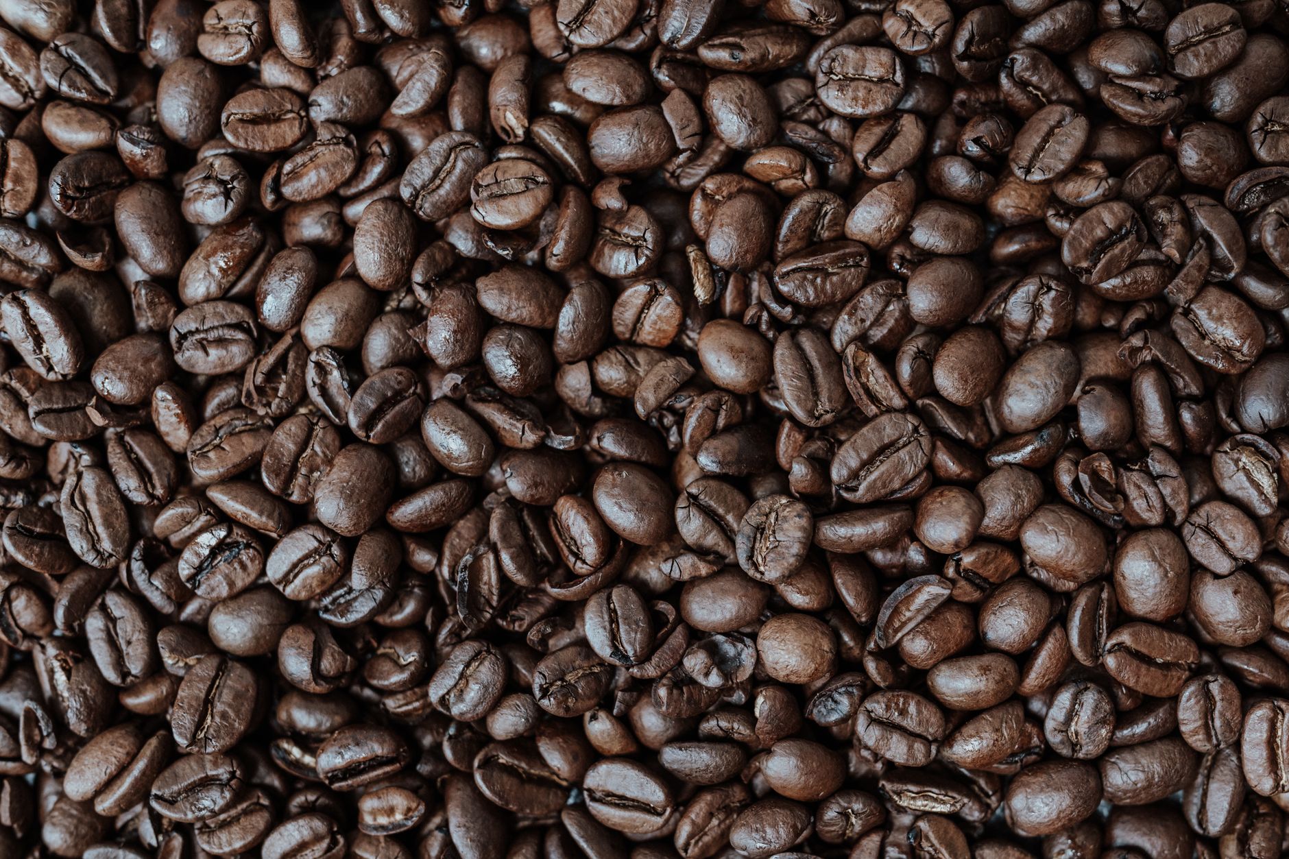 A high-quality image showcasing a heap of aromatic roasted coffee beans.