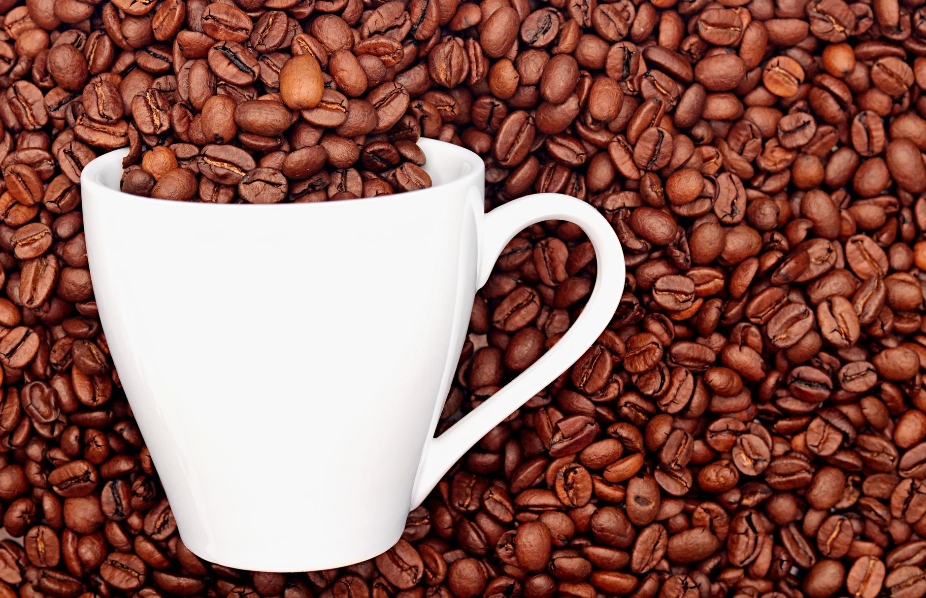 A white ceramic mug on a bed of aromatic coffee beans. Perfect for coffee lovers.