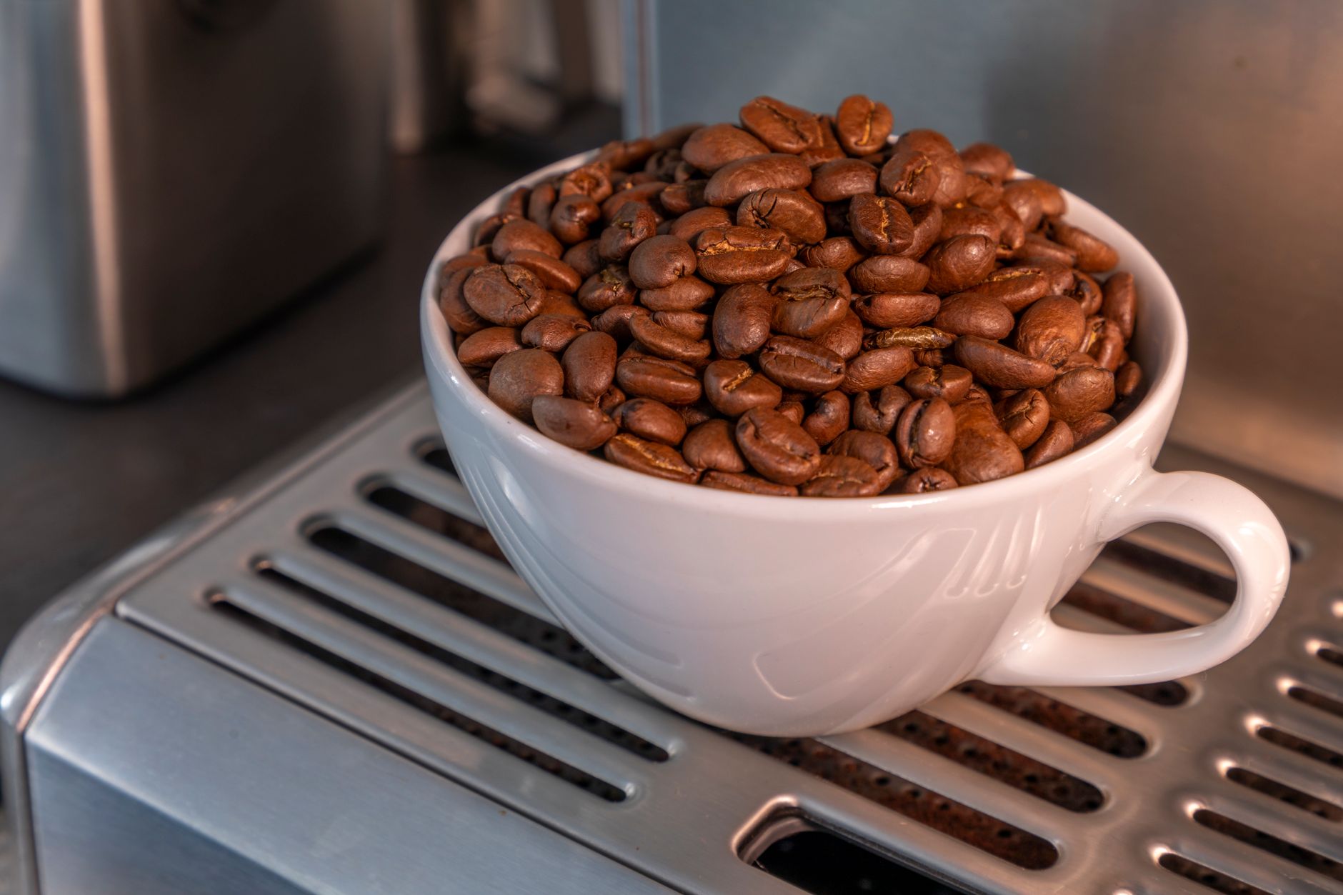 A close-up of aromatic roasted coffee beans piled in a white cup on a metal surface.
