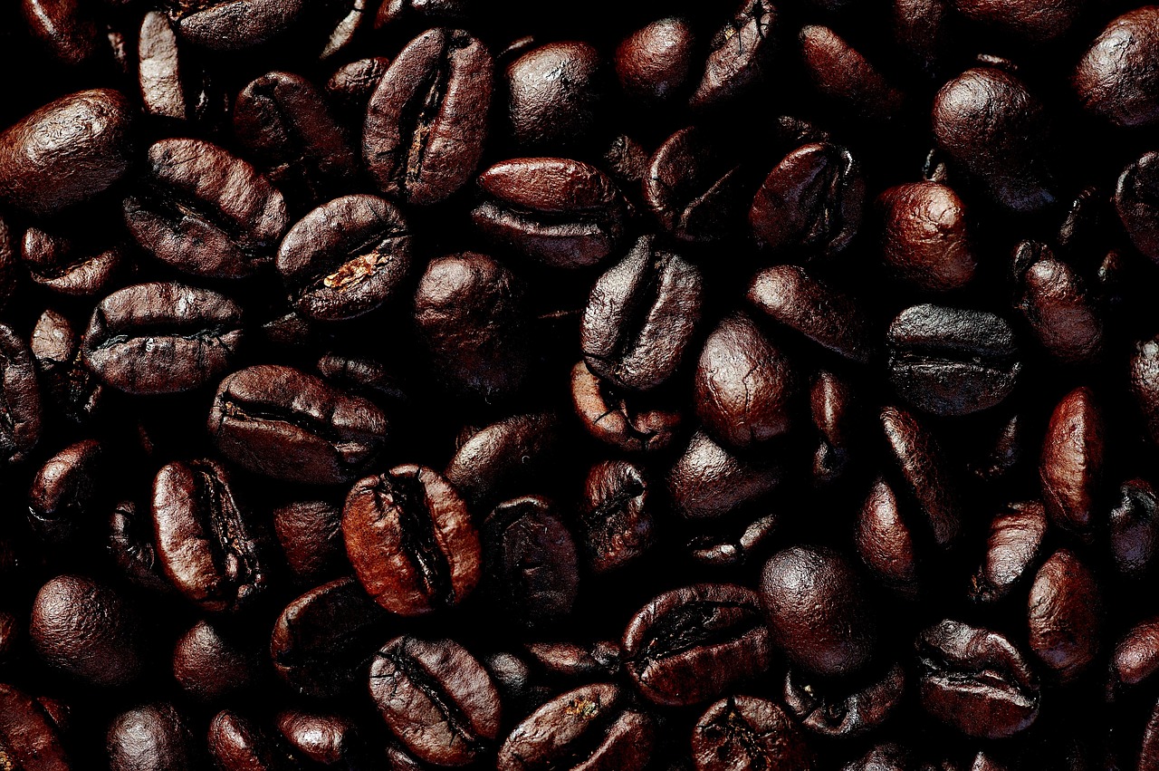 do it, coffee, beans, roasting, drip coffee, espresso, cafe, barista, coffee, coffee, cafe, barista, barista, barista, barista, barista