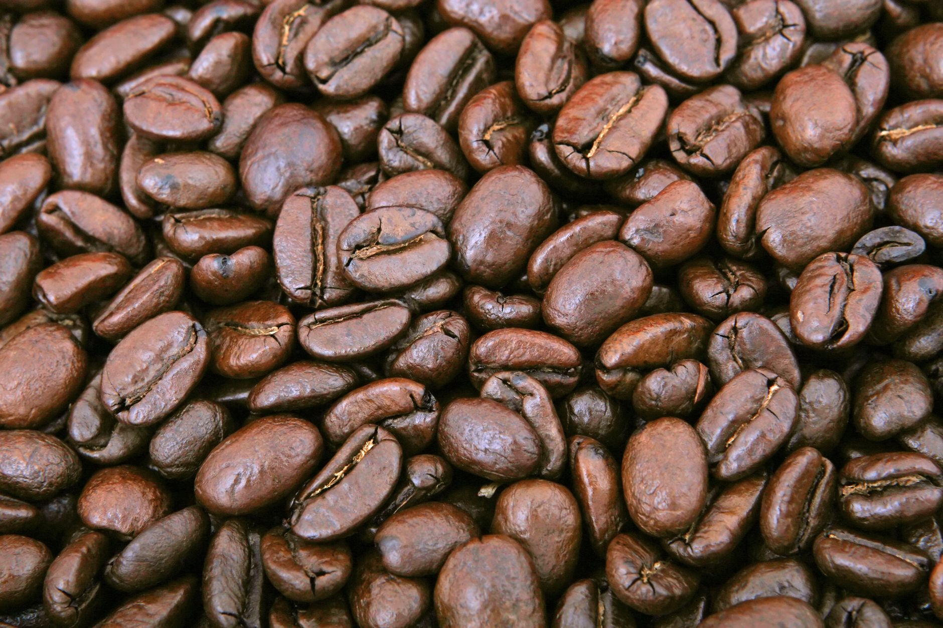 A close-up shot of shiny roasted coffee beans, perfect for caffeine lovers.