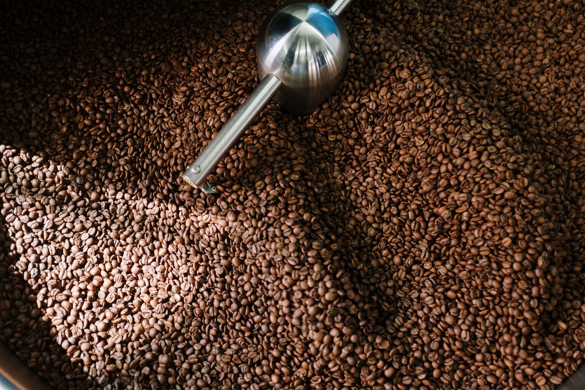 Detailed image of roasted coffee beans spinning inside a professional coffee roaster.