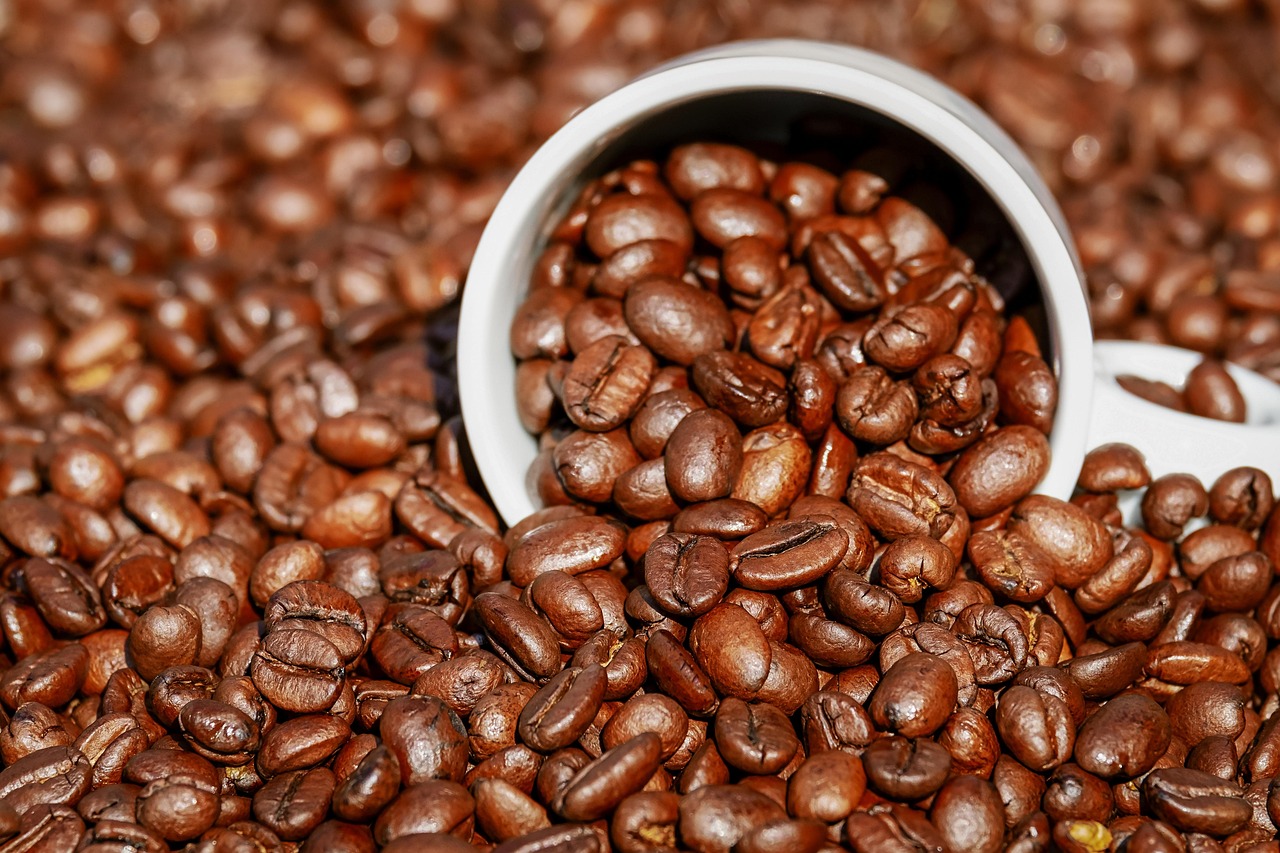 coffee, beans, seed, caffeine, coffee cup, cafe, aroma, roasted, food, beverage, brown, aromatic, food photography, coffee beans, cup