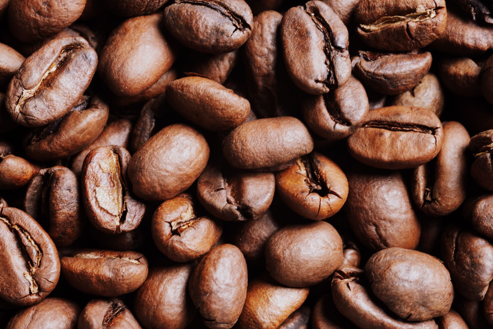 High-detail close-up image of roasted coffee beans in abundance.