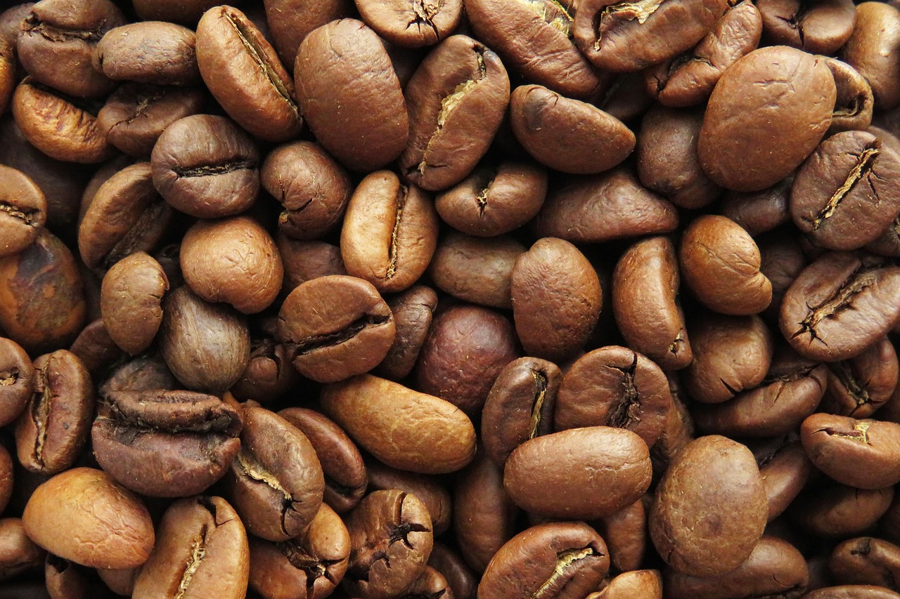 coffee, coffee beans, roasted coffee beans, brew, espresso, cappuccino, arabic coffee, barista, drink, arabic coffee, arabic coffee, arabic coffee, arabic coffee, arabic coffee, barista, barista, barista, barista, barista