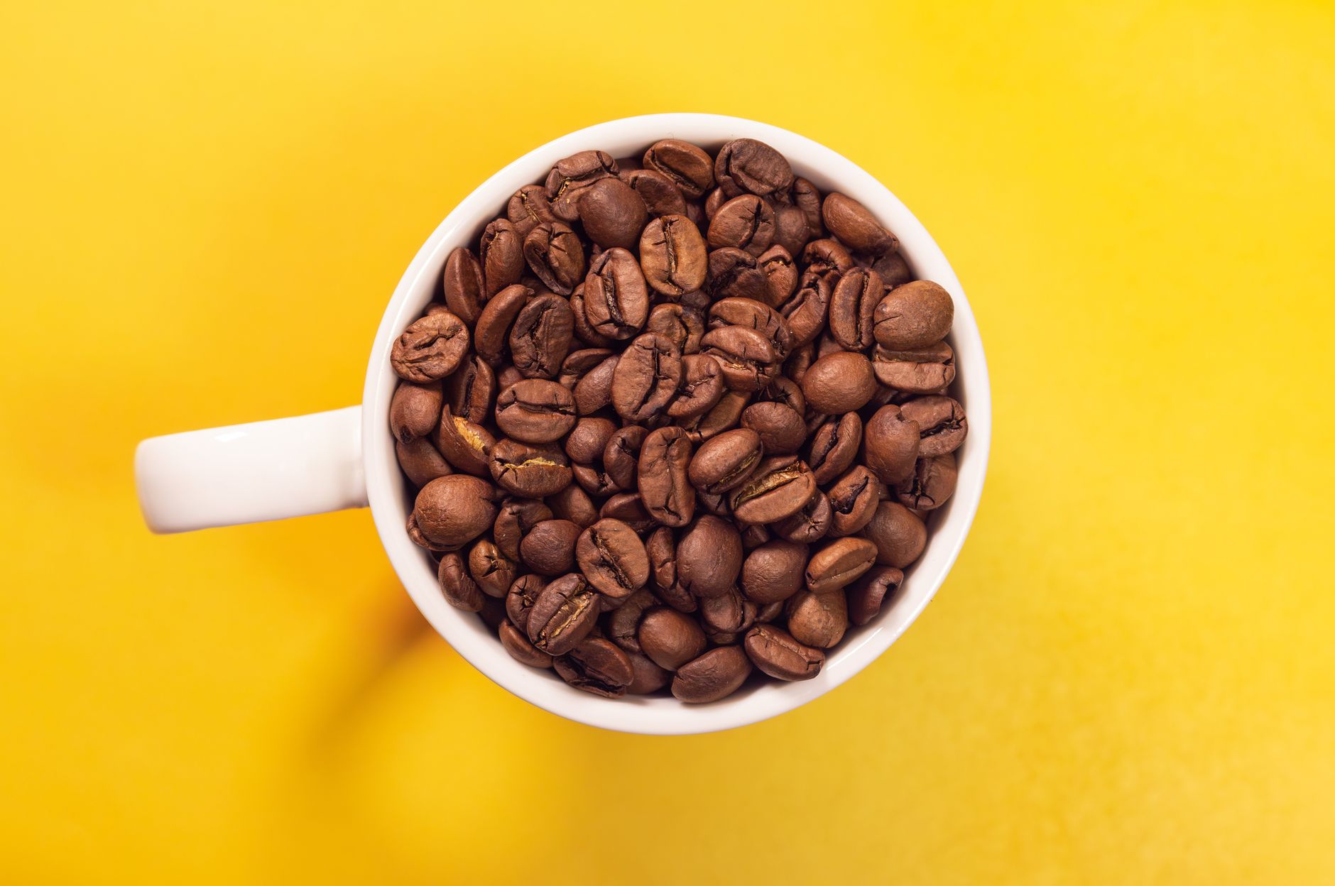 Top view of coffee beans in a white cup set against a vibrant yellow background.