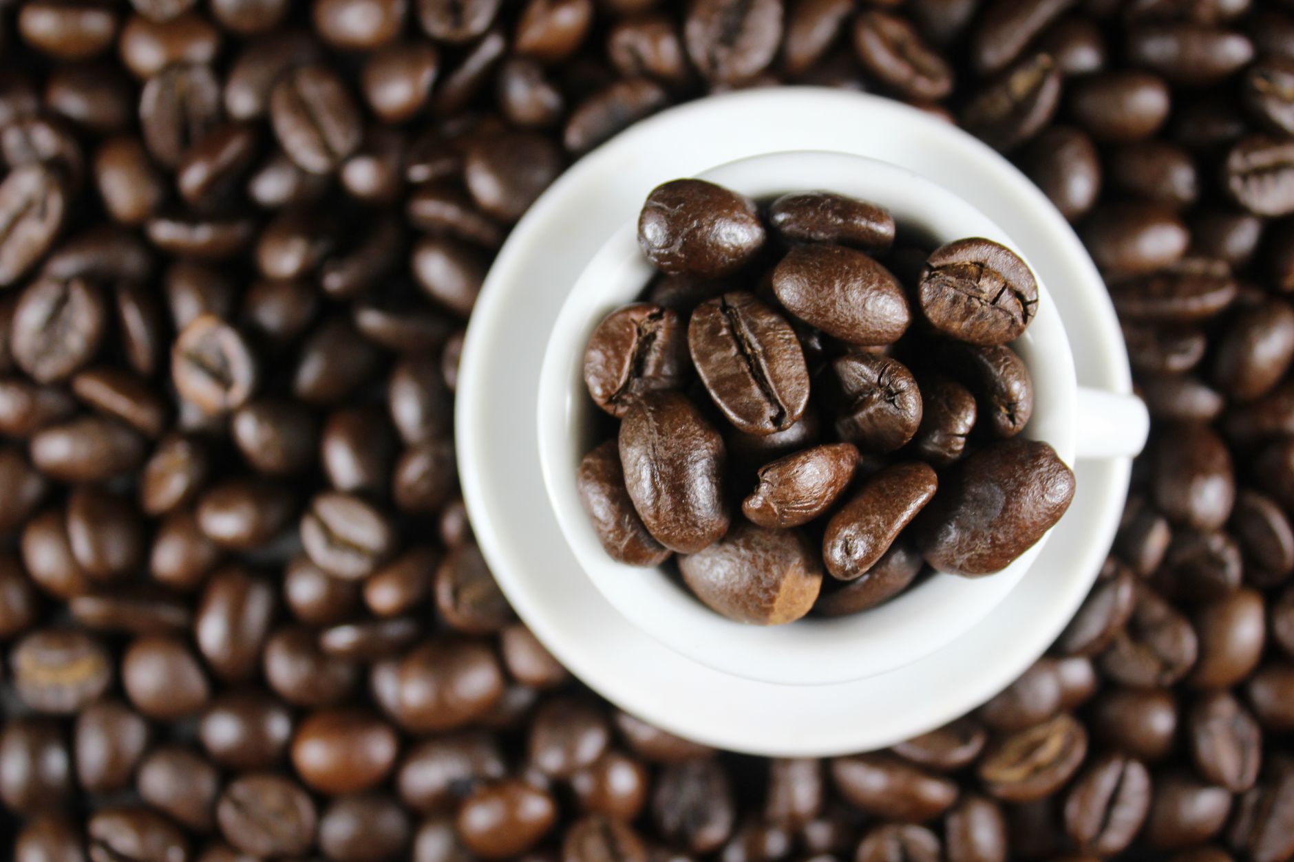 High angle view of roasted coffee beans overflowing from a white cup, capturing rich textures and warm tones.
