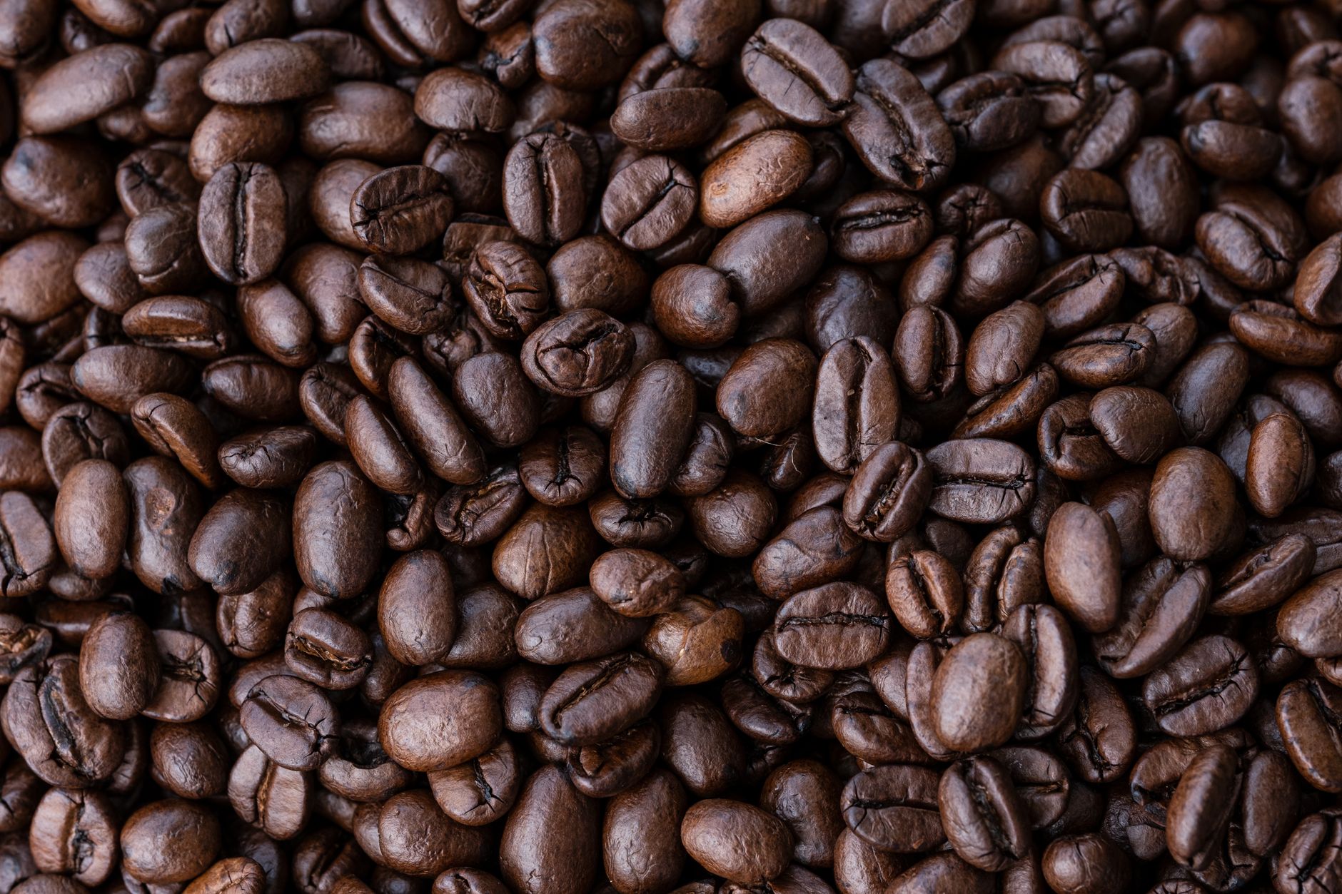 A detailed close-up of aromatic roasted coffee beans for a rich caffeine experience.
