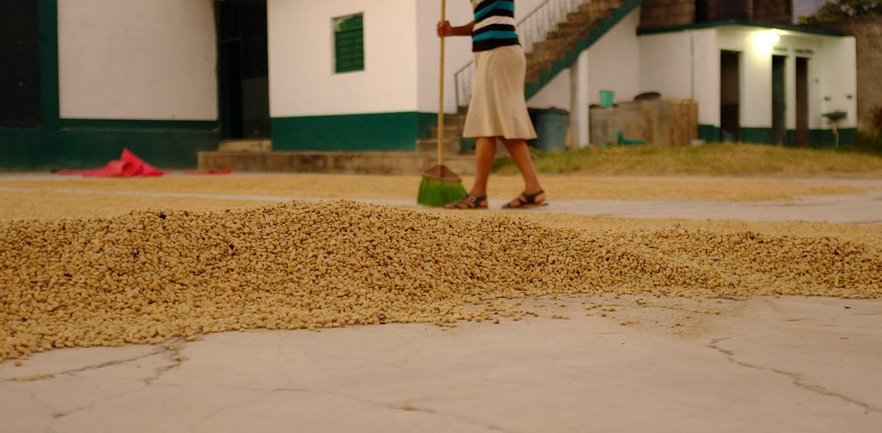 pulped natural, semi-dry, honey process coffee, coffee