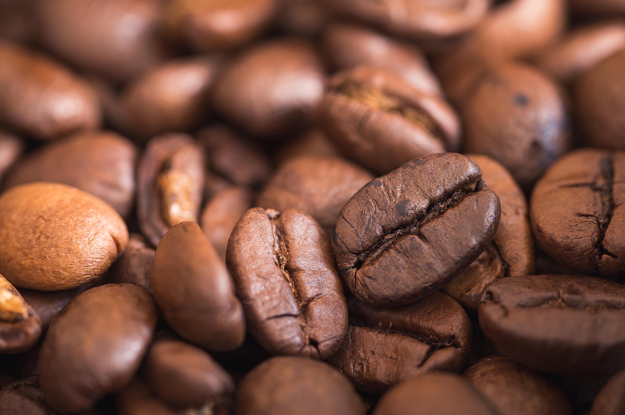 coffee, coffee beans, coffee shop, beans, caffeine, food, espresso, coffee pot, fragrance, roasted, aroma, enjoyment, brown, beverages, mixed up, cappuccino, drink, fresh, luxury items, breakfast, coffee grinder, coffee, coffee, coffee, coffee beans, coffee beans, coffee beans, coffee beans, coffee shop, coffee shop, coffee shop, coffee shop, coffee shop, espresso, espresso, breakfast, breakfast, coffee grinder