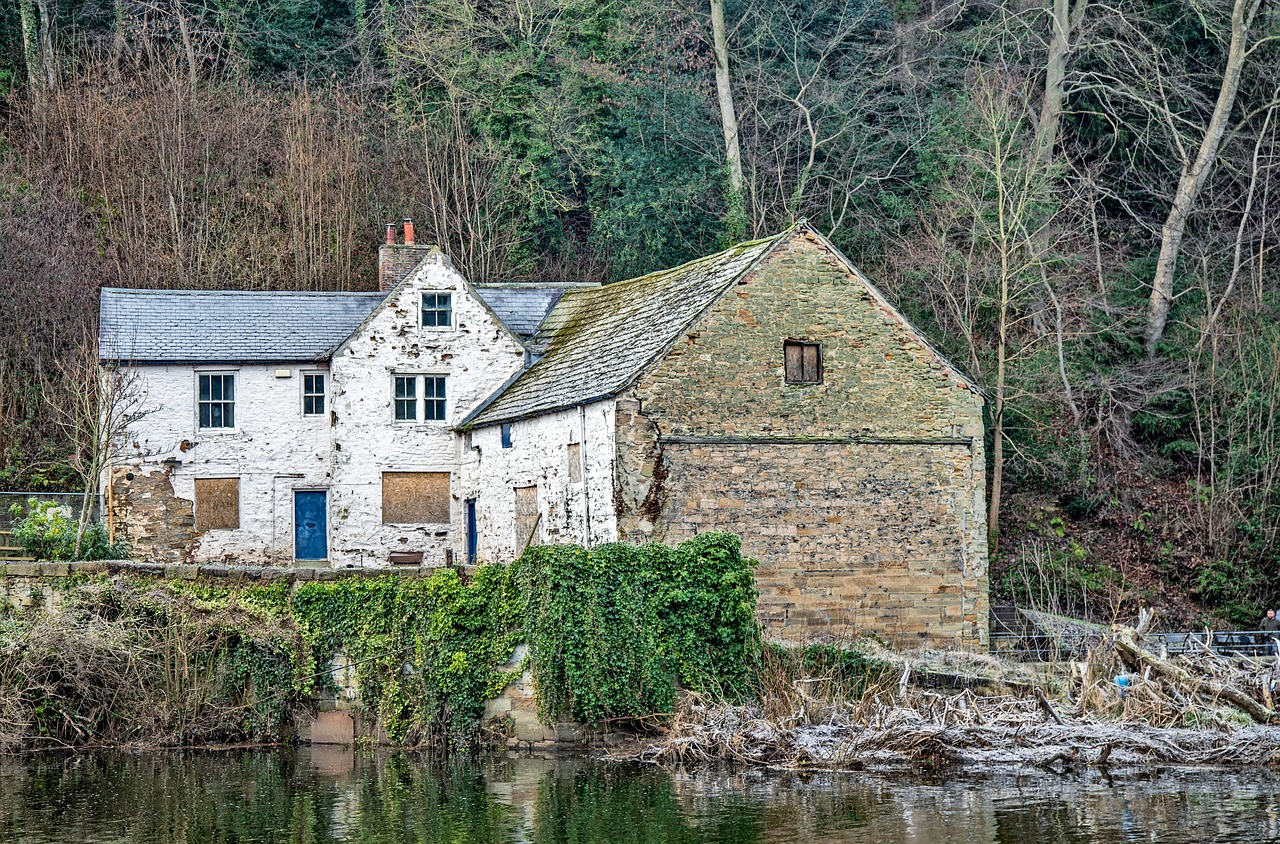 durham, durham riverside, river, nature, buildings, forest, landscape, countryside