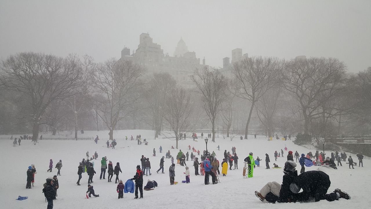 snow, central park, new york, new, cold, tree, york, central park new york, cityscape, landscape, frozen, nature, winter, manhattan, sledding, gray news, gray park, gray new