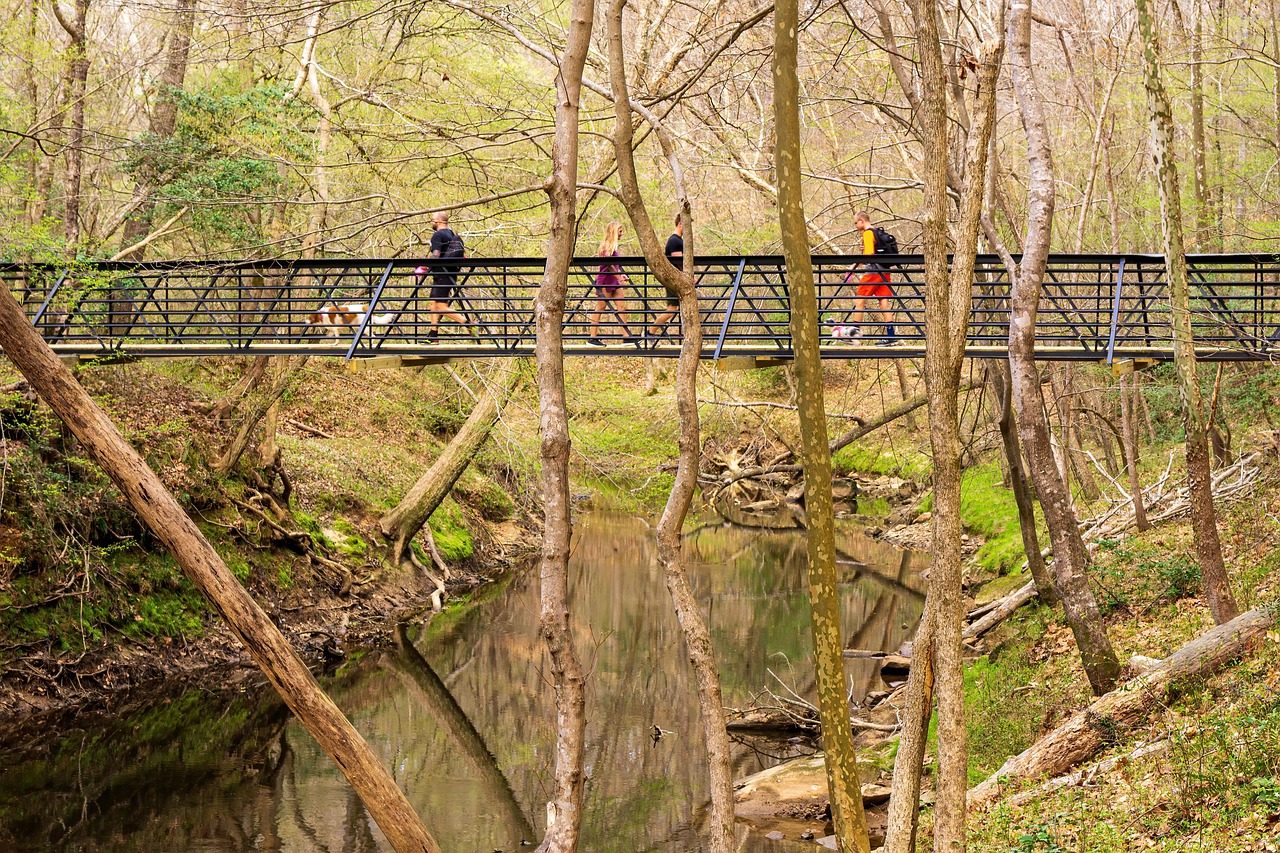 umstead state park, hanging bridge, state park, raleigh, raleigh north carolina, landmark, nature, walkway, raleigh, raleigh, raleigh, raleigh, raleigh