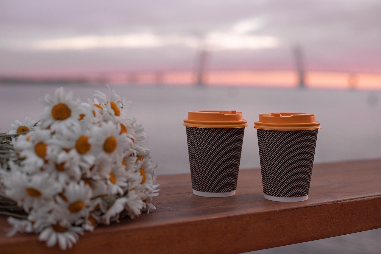 coffee, beautiful flowers, nature, flowers, chamomile, bay, sea, bridge, peter, flower wallpaper, petersburg, st petersburg, russia, neva, sunset, flower background, sky