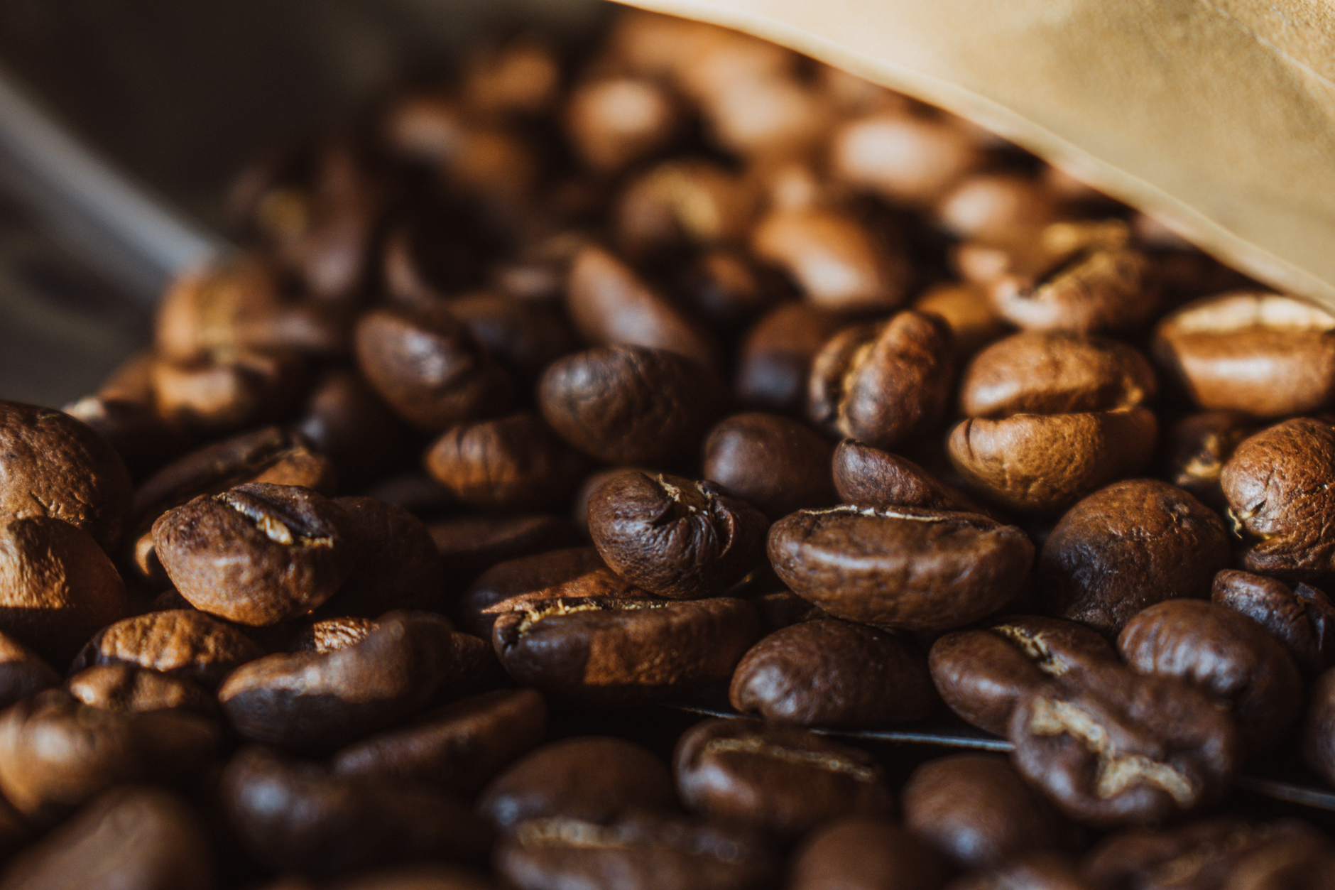 Rich, detailed close-up of aromatic roasted coffee beans showcasing texture and color.