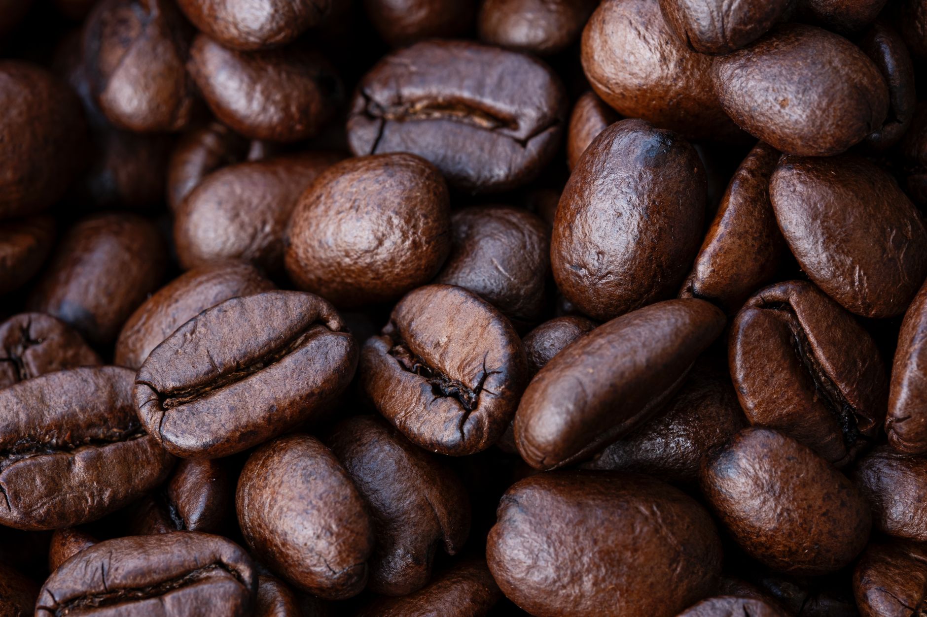 Detailed macro shot of glossy roasted coffee beans for rich aroma and taste.