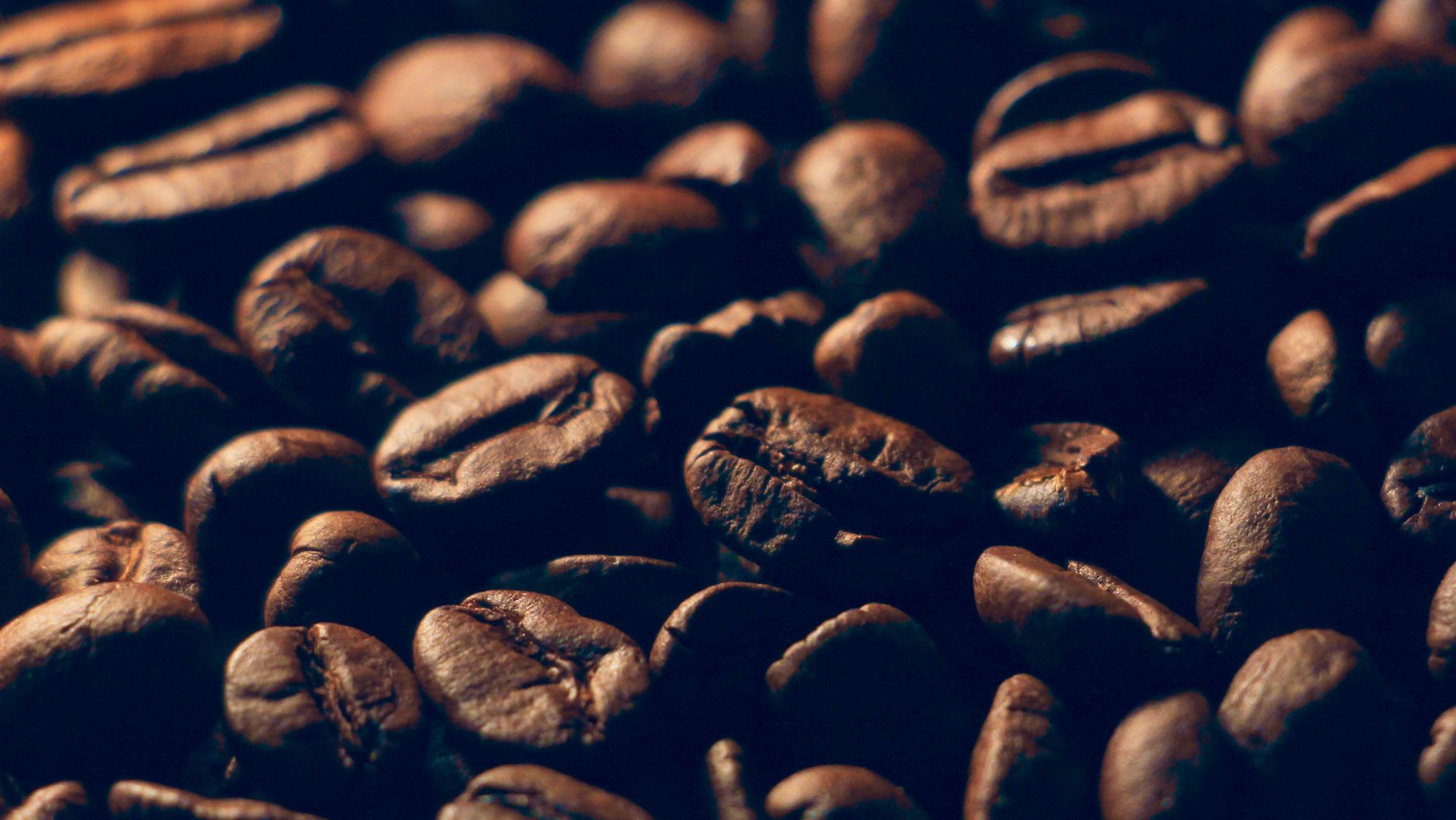 Detailed macro shot of roasted coffee beans showing rich texture.