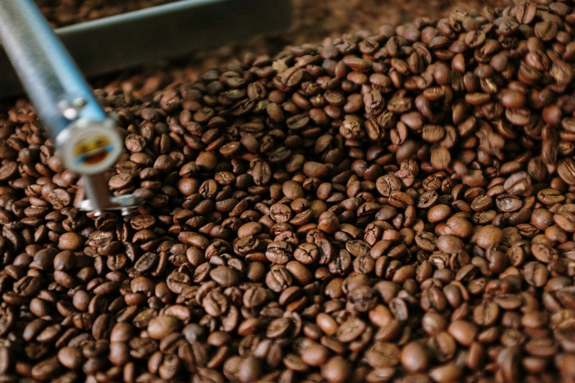 Installing Industrial Coffee Roasters: Complete Guide