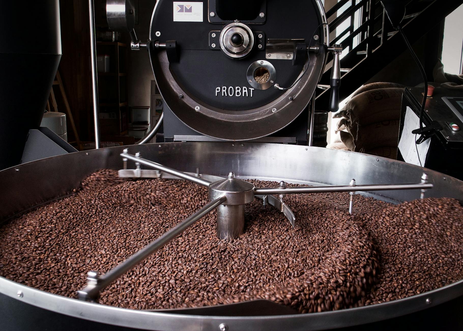 Where to Find Premium Bean Sourcing Near Mount Pleasant SC