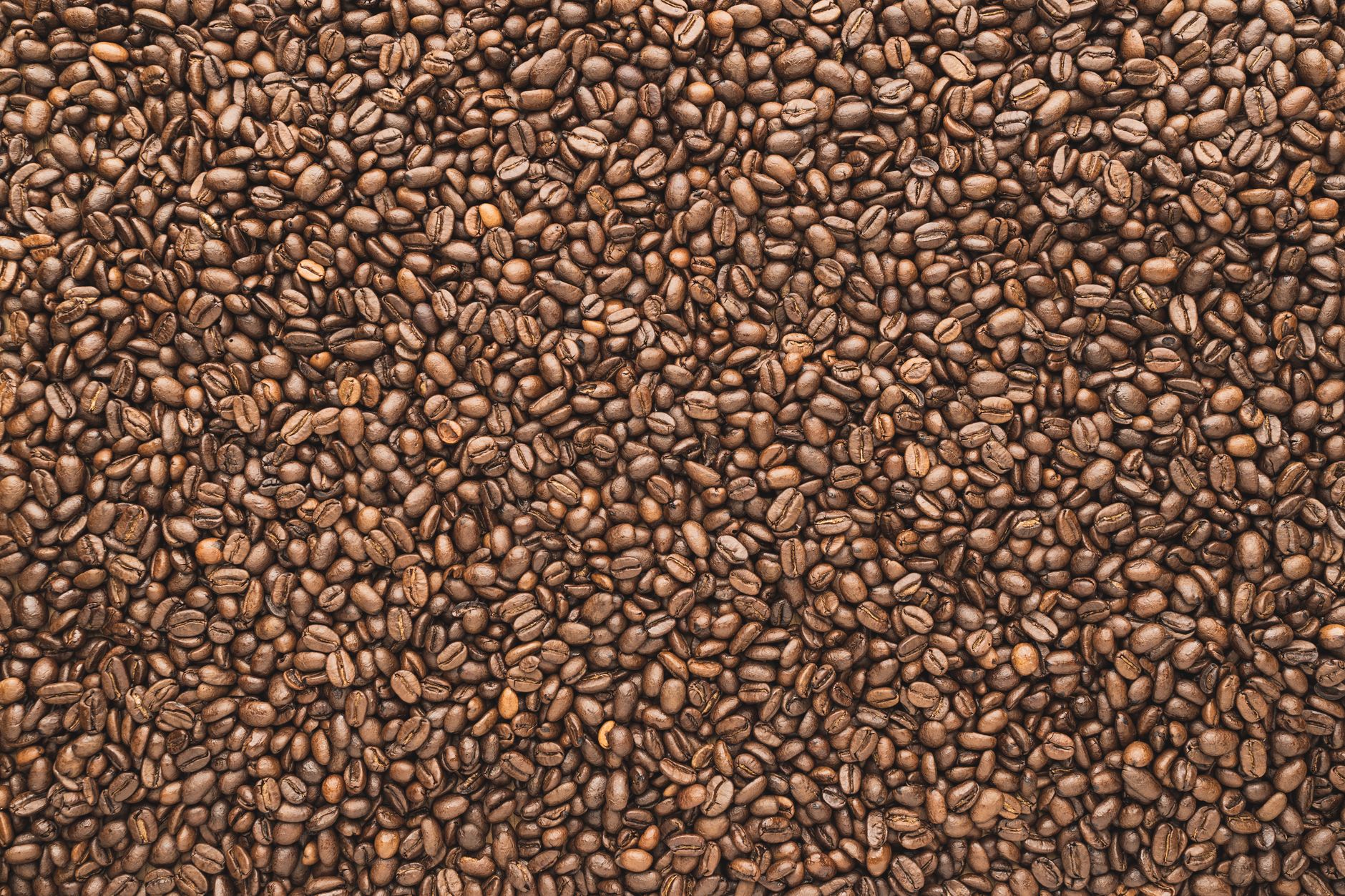 Freshly roasted specialty coffee beans on a rustic wooden table