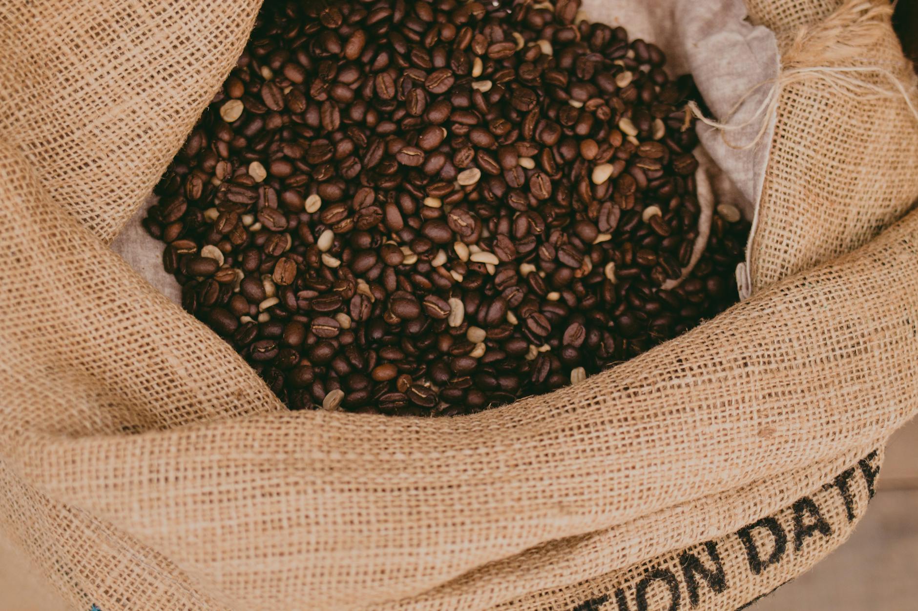 Pile of specialty coffee beans on a burlap sack in a roastery