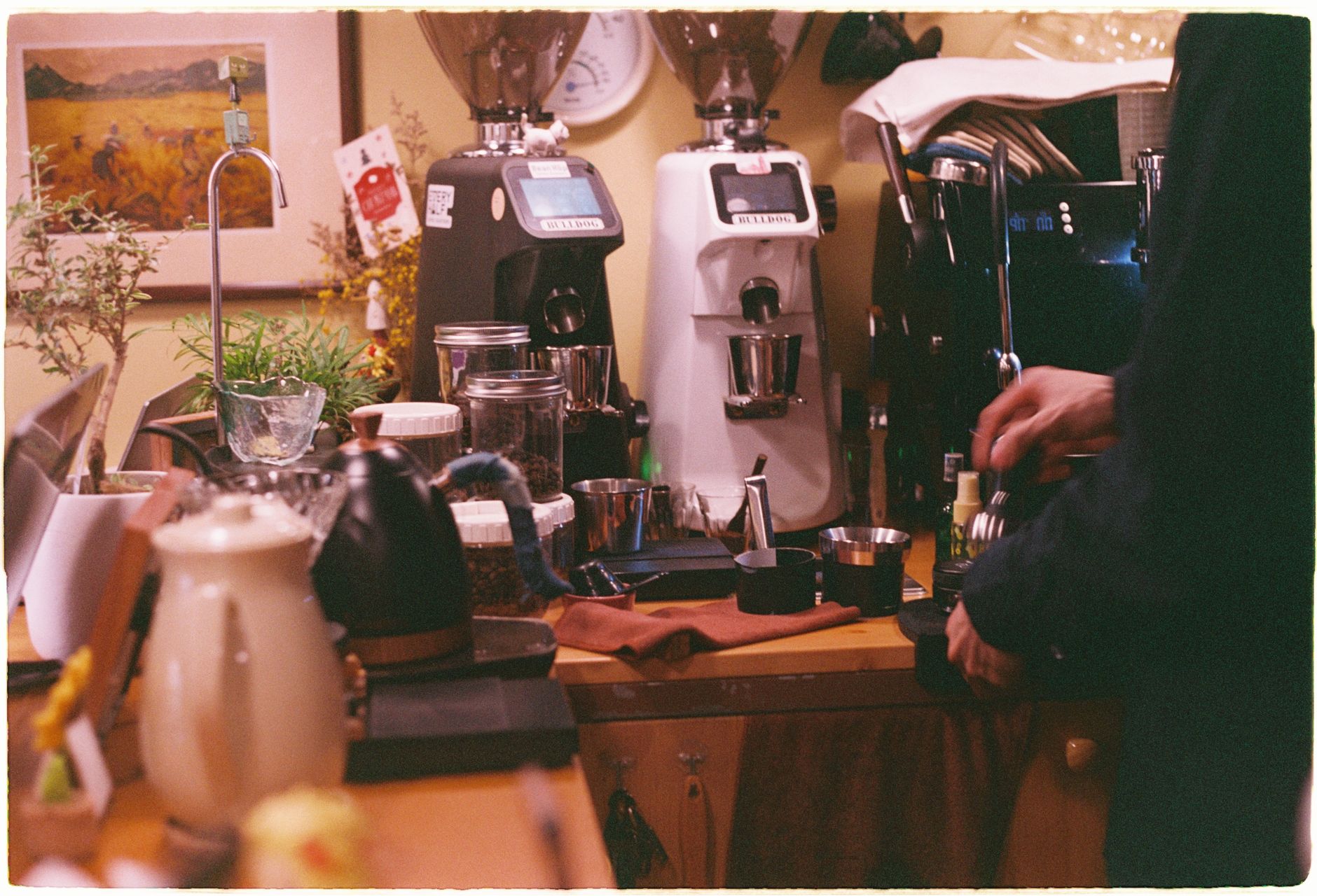 Professional barista steaming milk with stainless steel pitcher