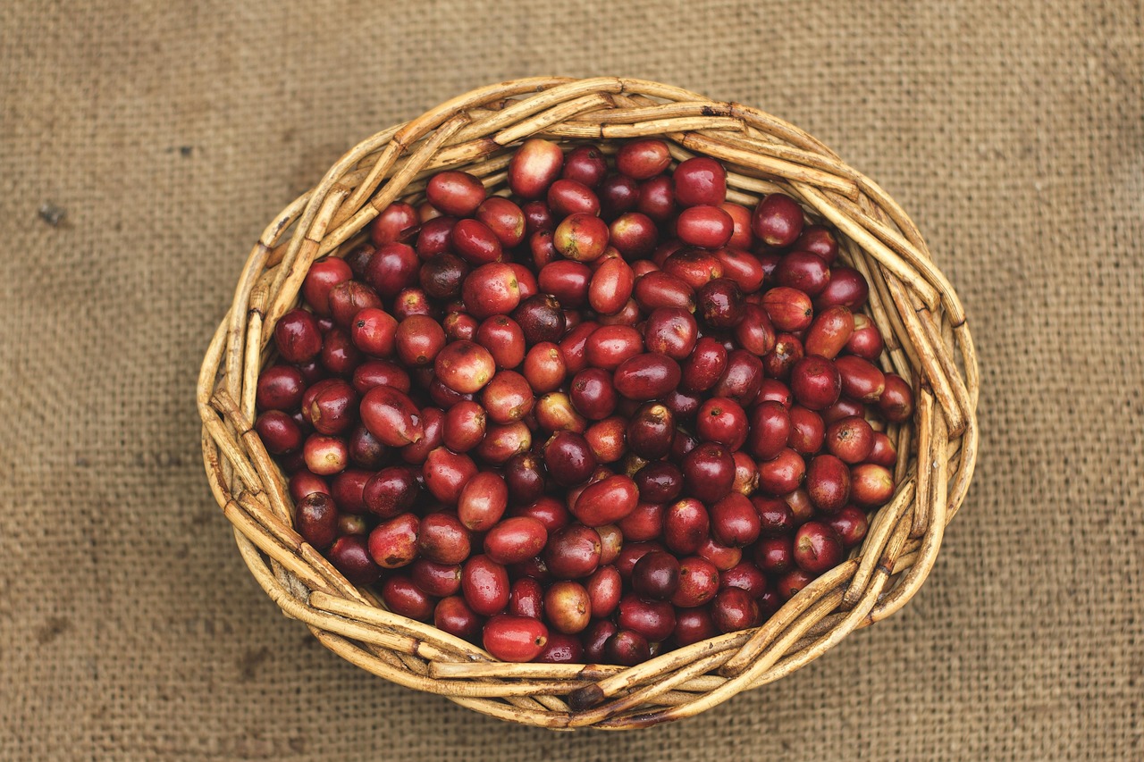 Wholesale decaf coffee beans on shelves in a distribution warehouse