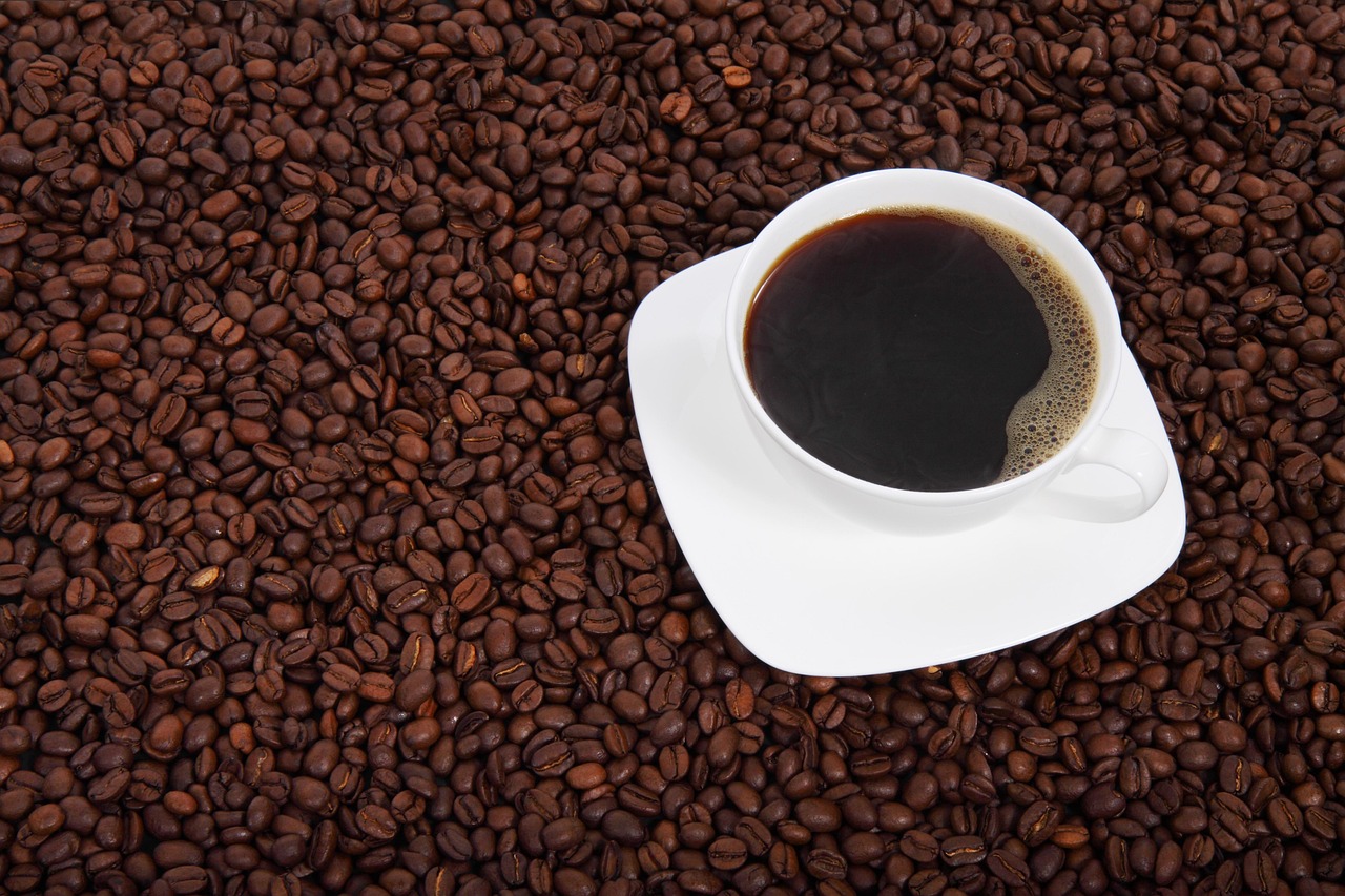 Modern counter de café em cafeteria em Denver com máquinas profissionais