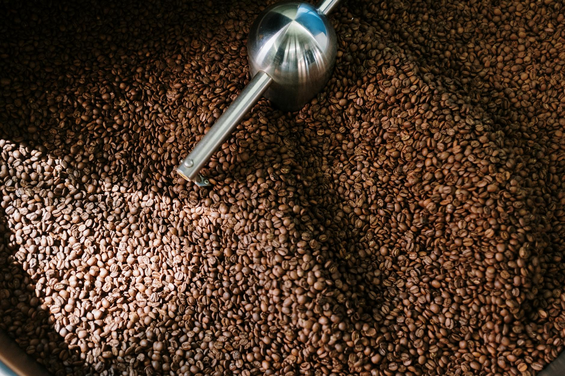 ROI of Industrial Coffee Roasters in Foodservice: 2026 Analysis