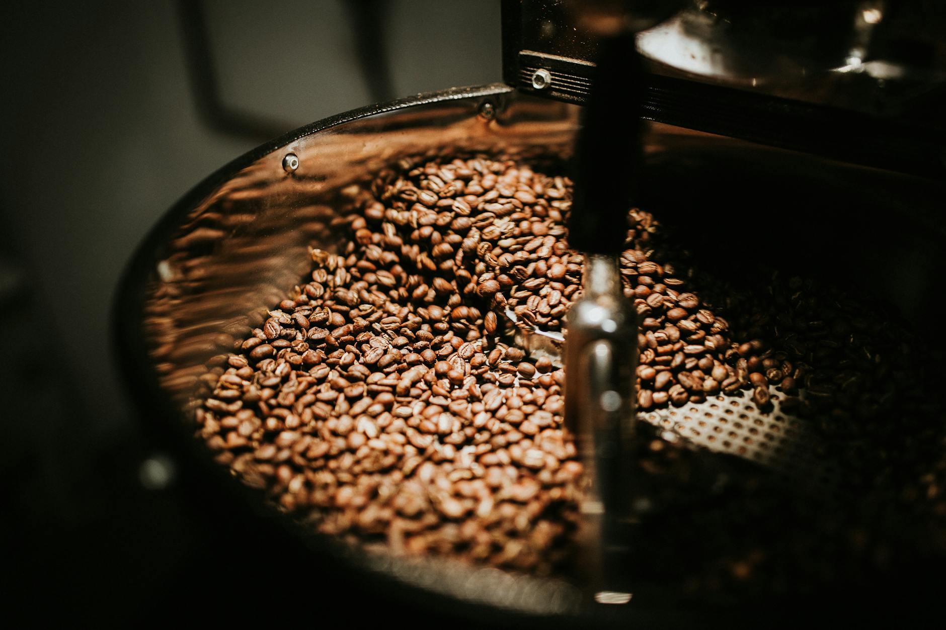 Fresh specialty coffee beans being roasted