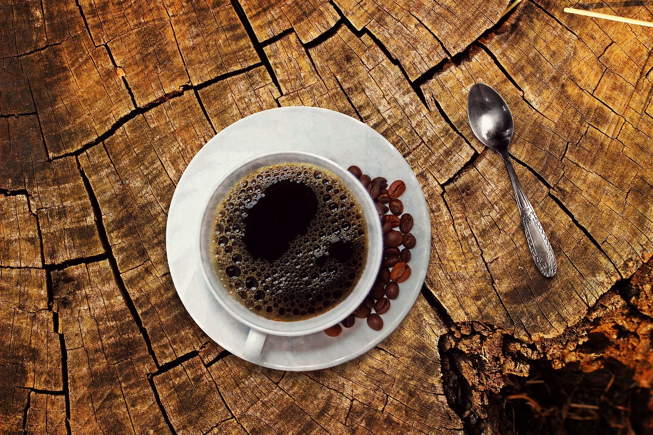 Sensa Drip Coffee Machine Features for Businesses in 2026