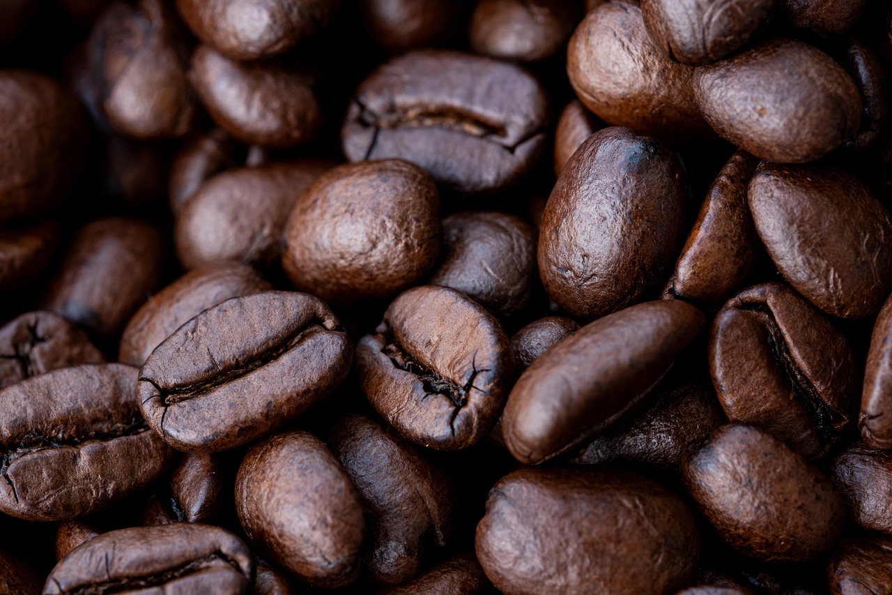 bean sourcing