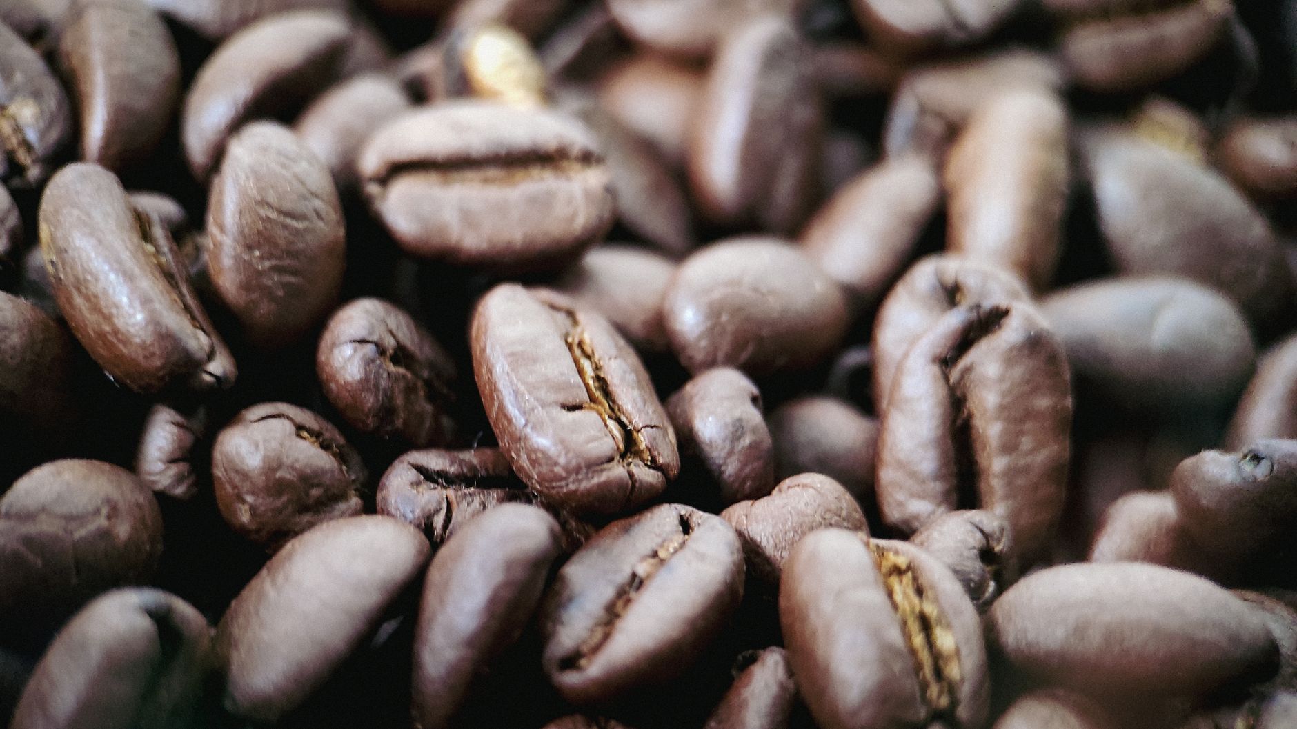 Macro shot of aromatic roasted coffee beans showcasing rich texture and color.