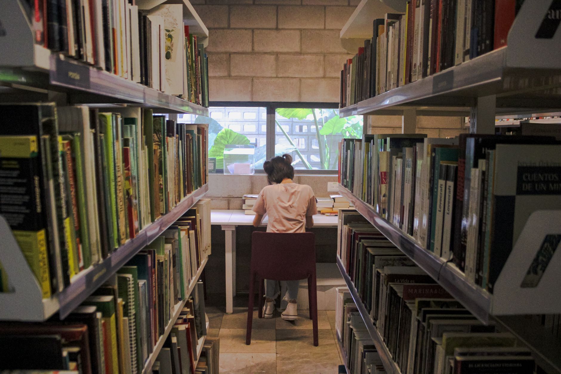 A student reads and studies at a library in Culiacán, Mexico, surrounded by books.