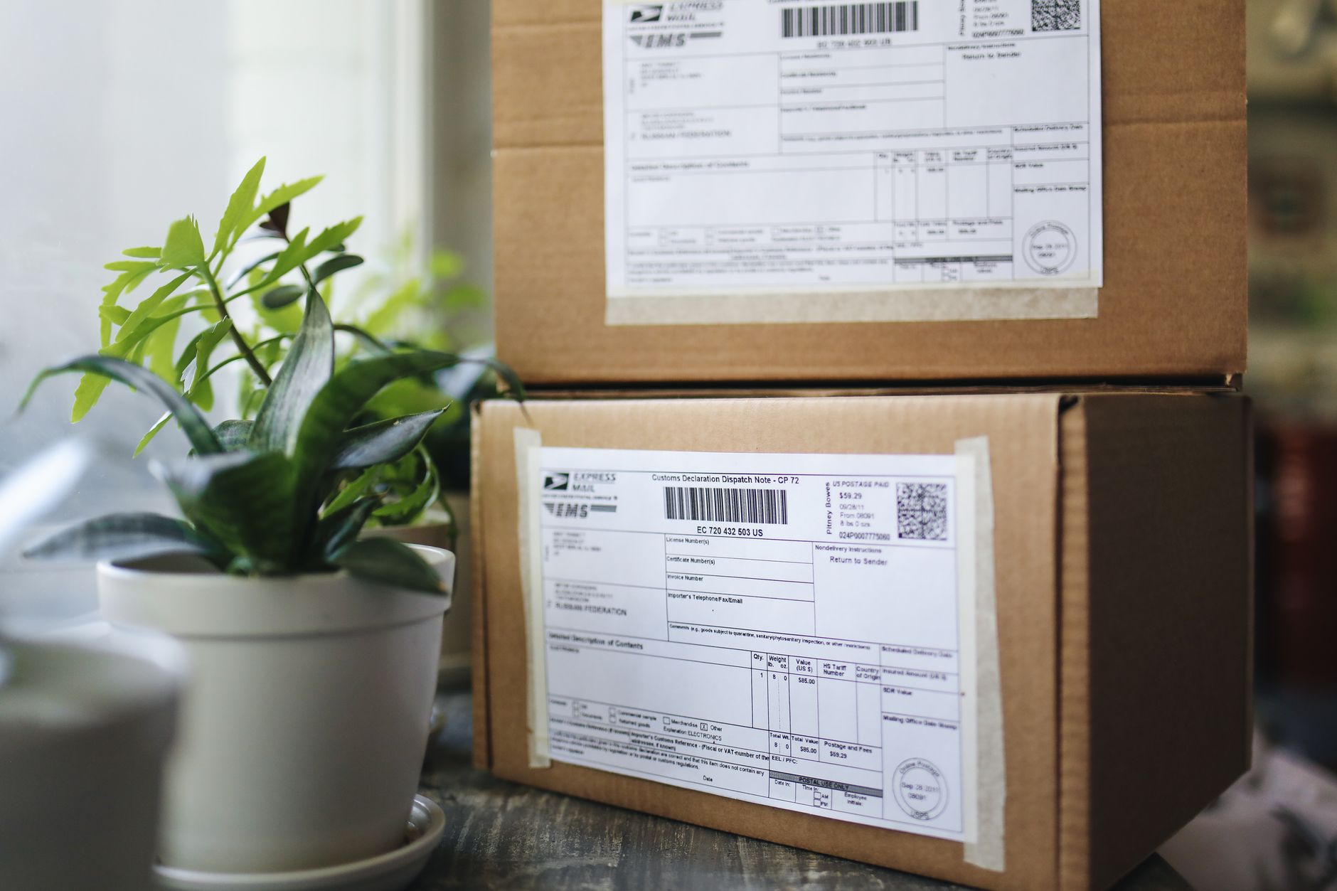 Image of brown cardboard packages with shipping labels next to indoor plants on a table.