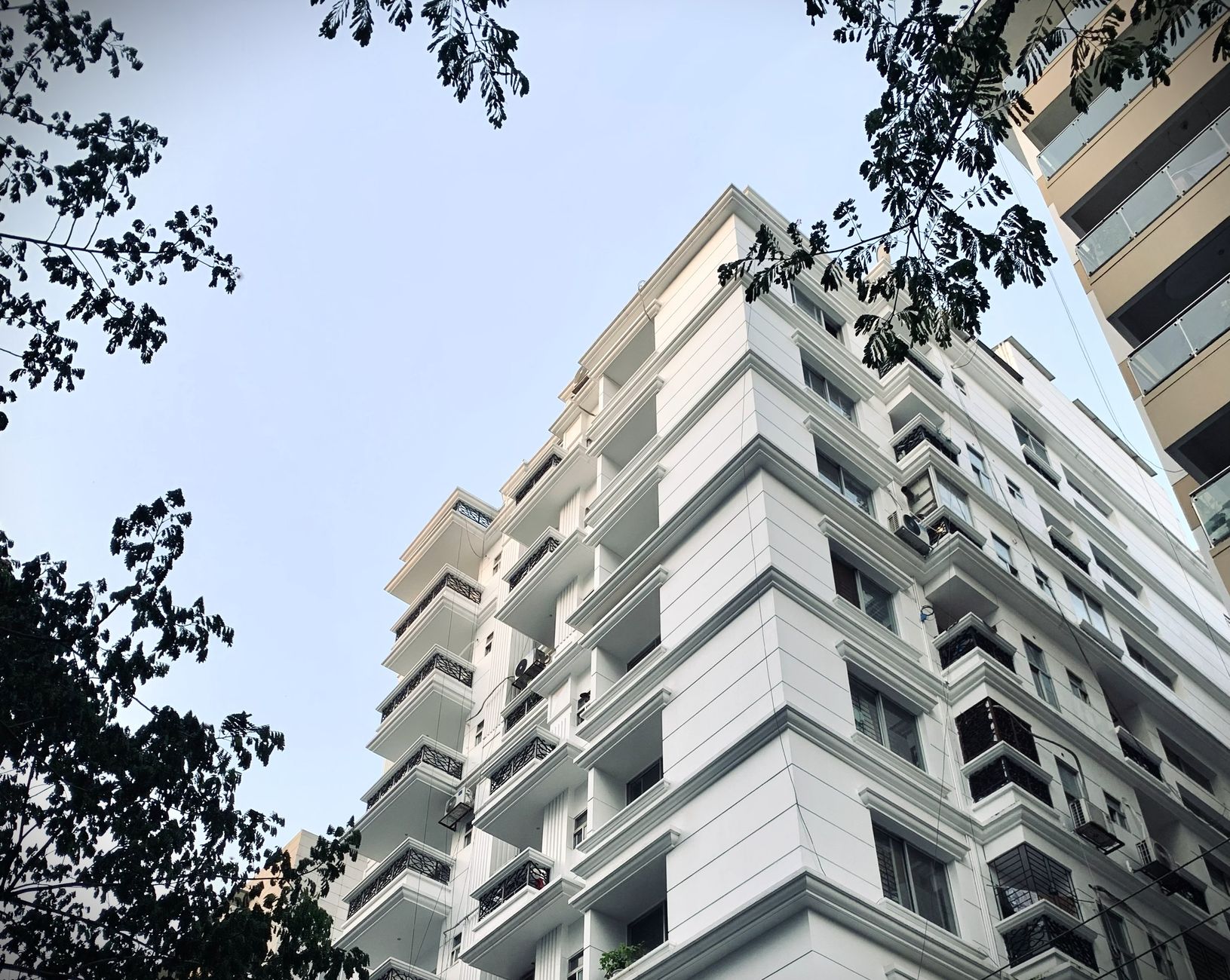 A low-angle shot of a modern high-rise building surrounded by tree branches.