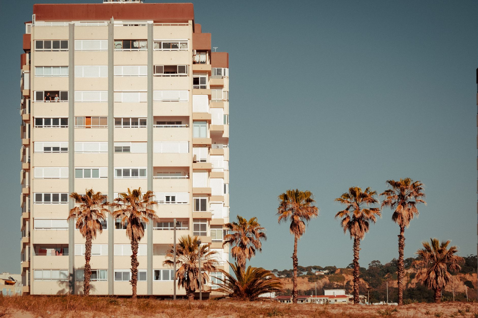 High-rise residential building with palm trees in Lisboa, Portugal.