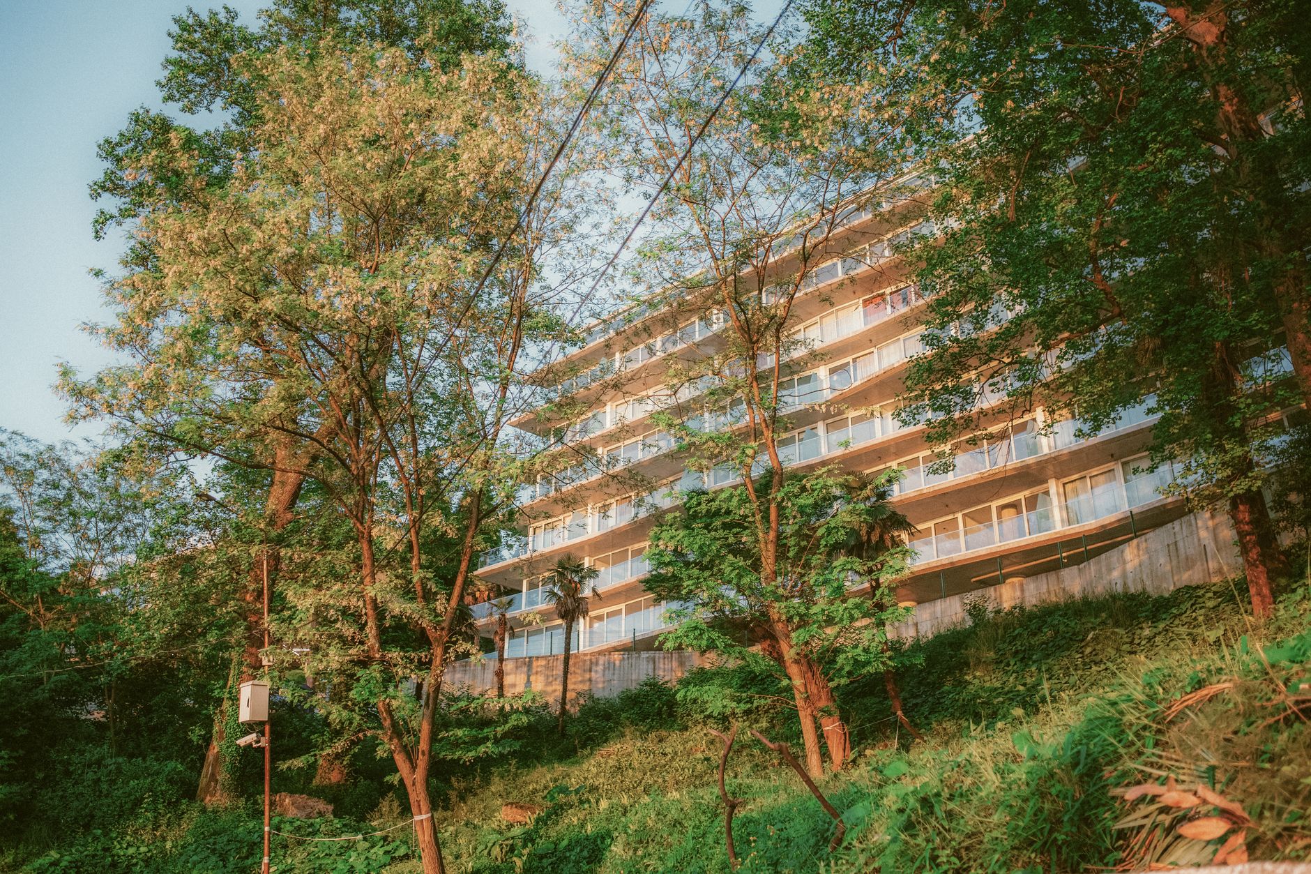 A contemporary building blends with vibrant summer nature, creating a serene urban oasis.