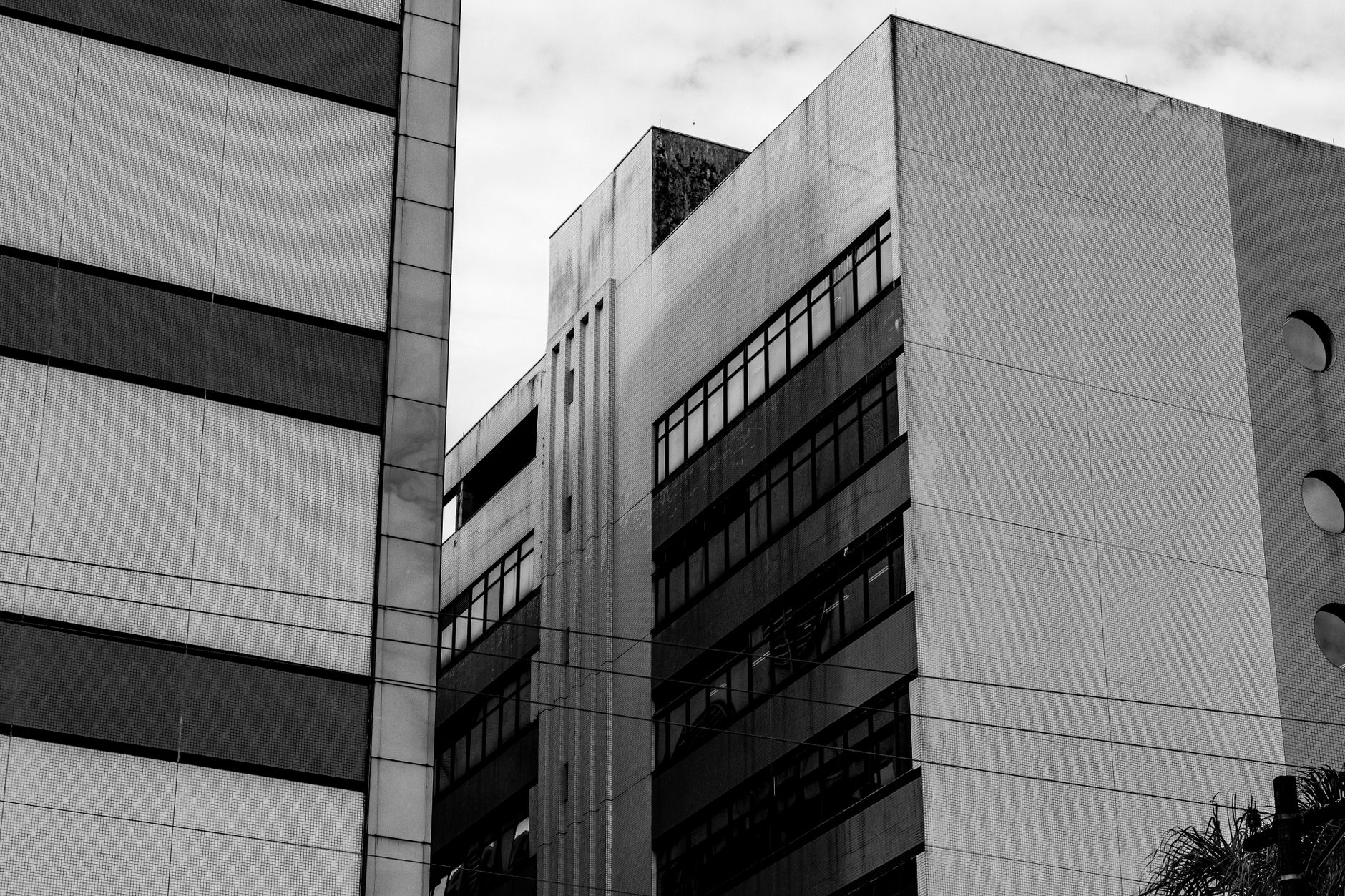 Monochrome photo of modern geometric urban buildings with a focus on windows and facades.